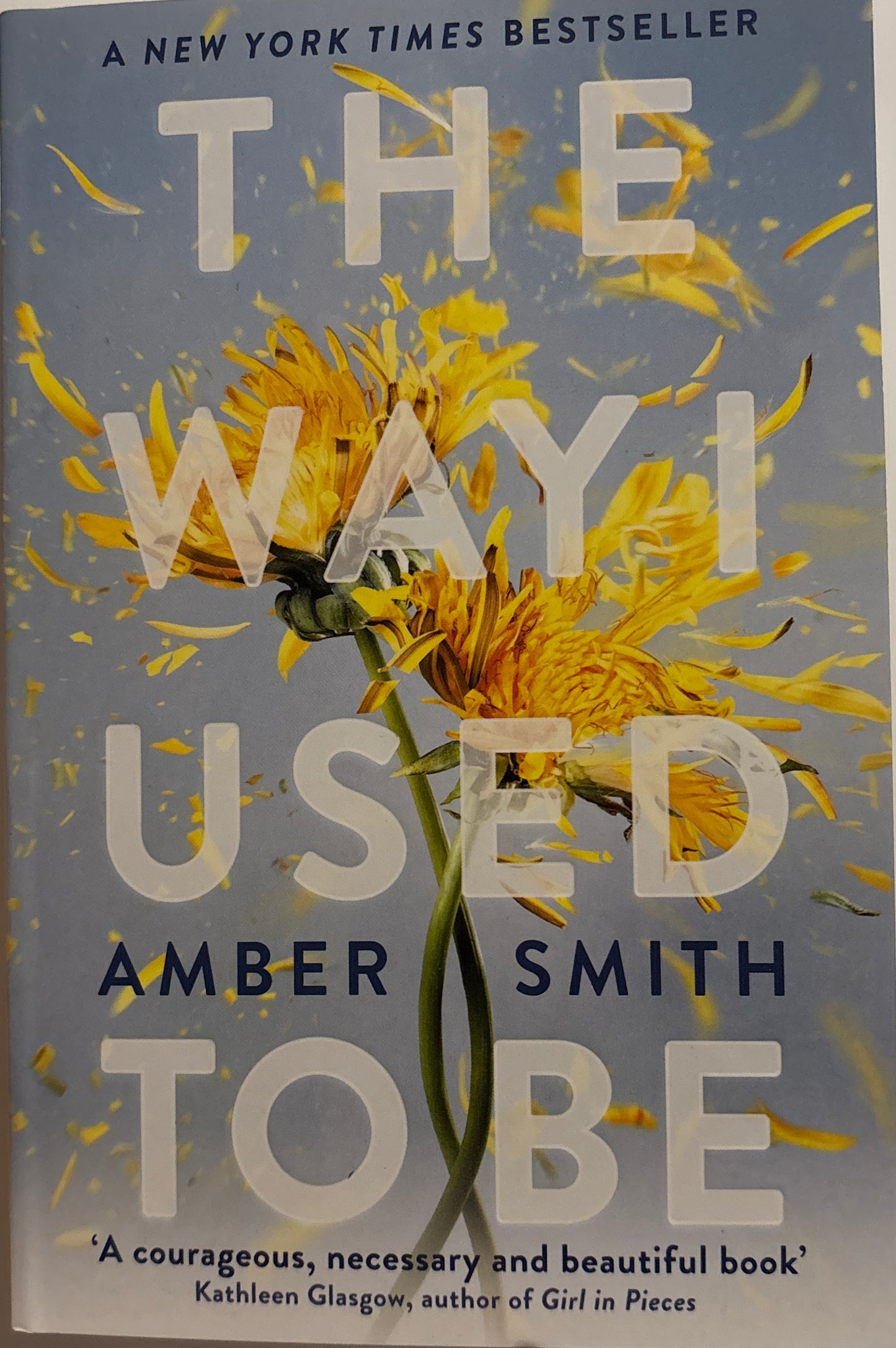 Smith, Amber: The way I used to be