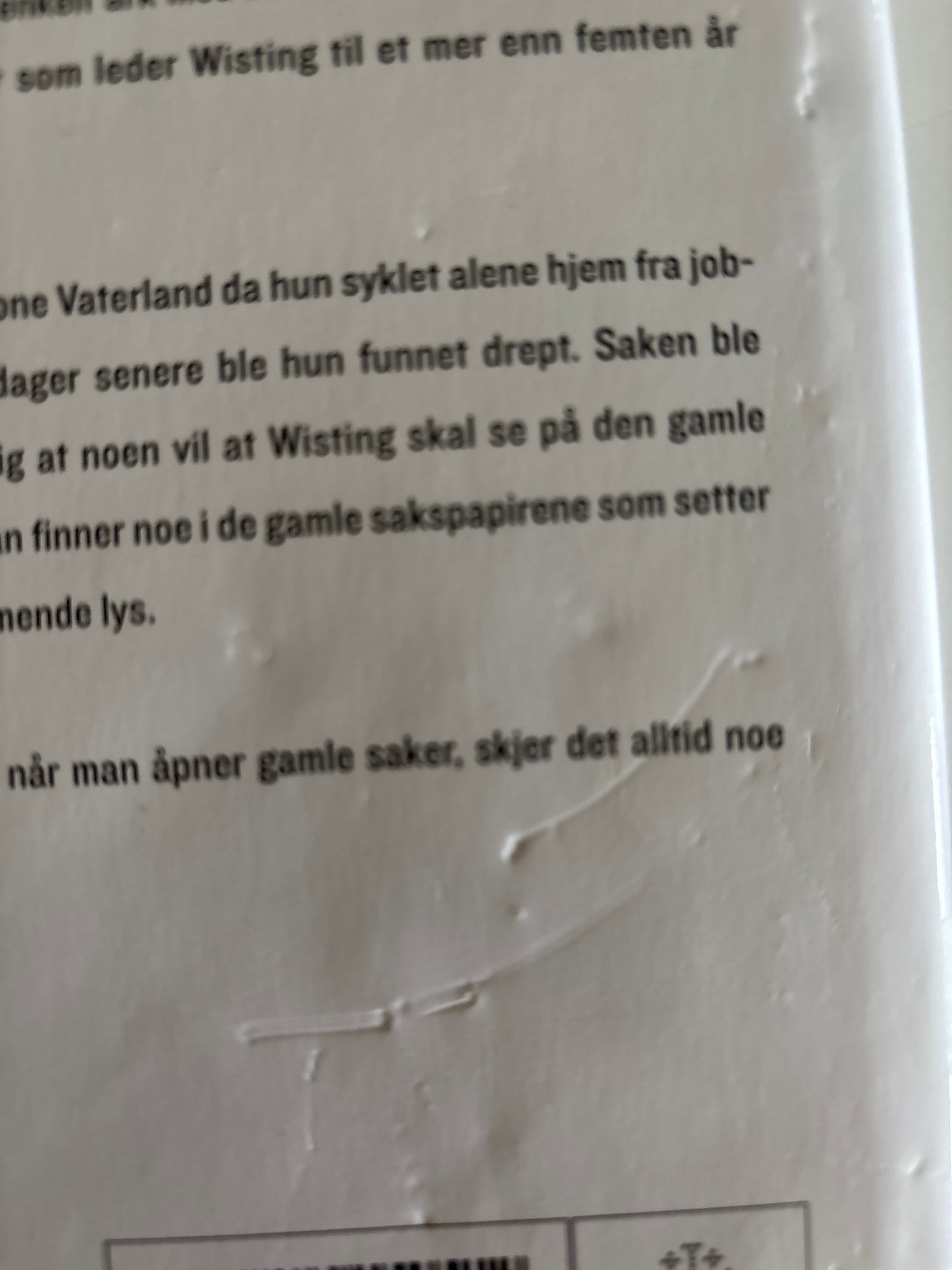 Lier Horst, Jørn: Sak 1569