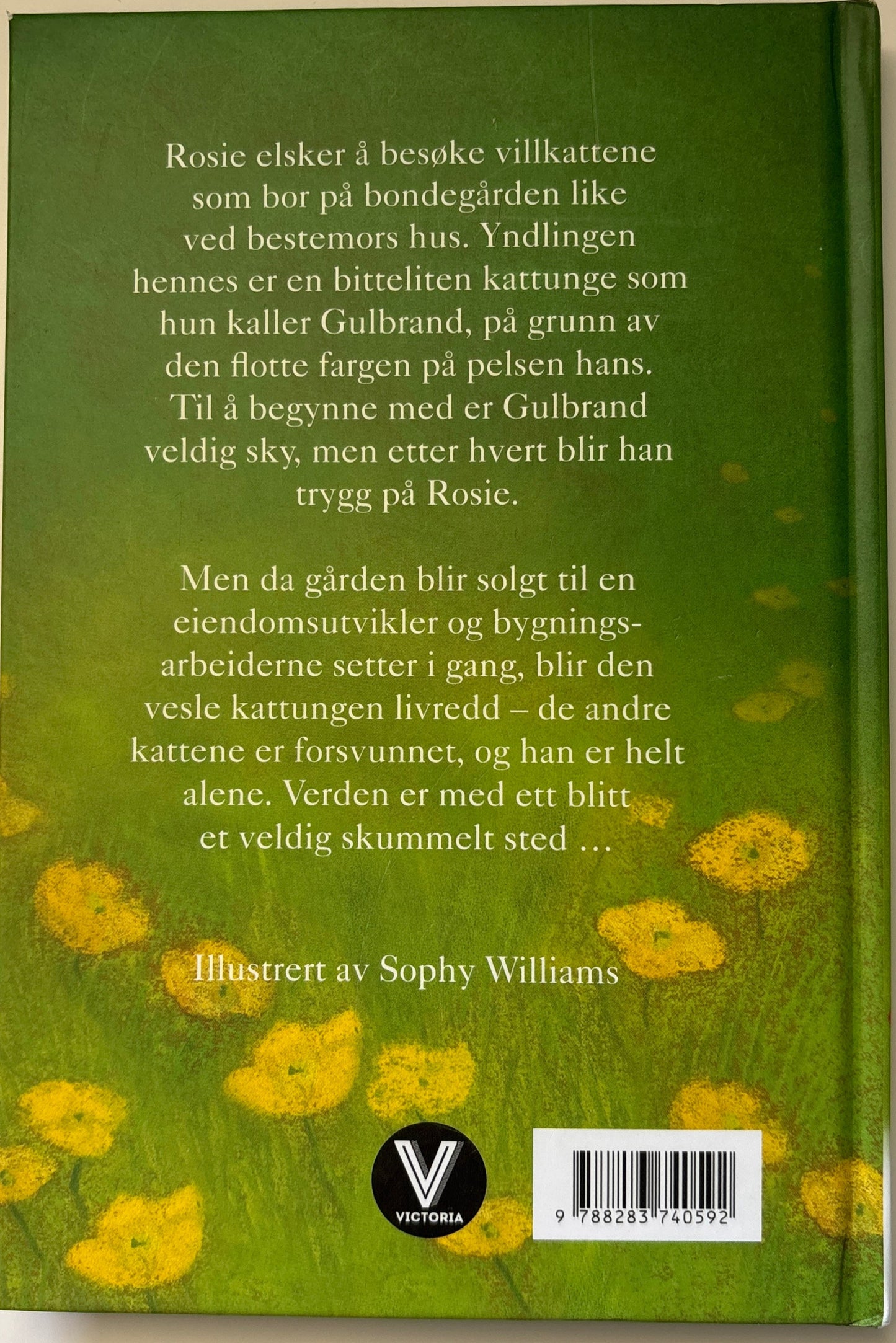 Webb, Holly: Gulbrand, den lille villkatten