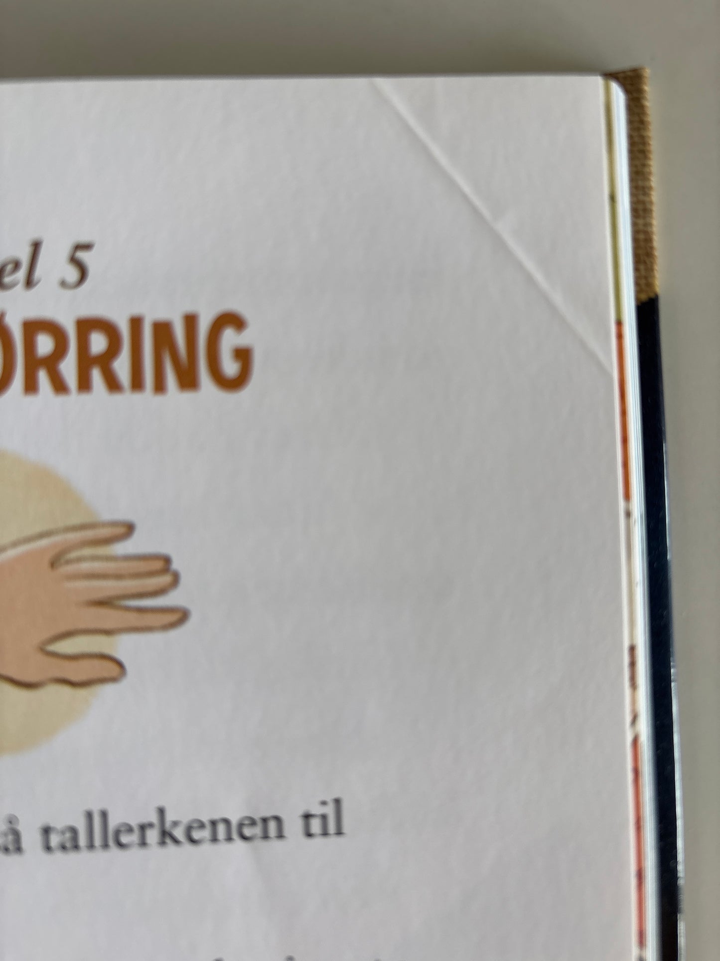 Horst, Jørn Lier: Detektivbyrå nr 2: Operasjon Sjørøver