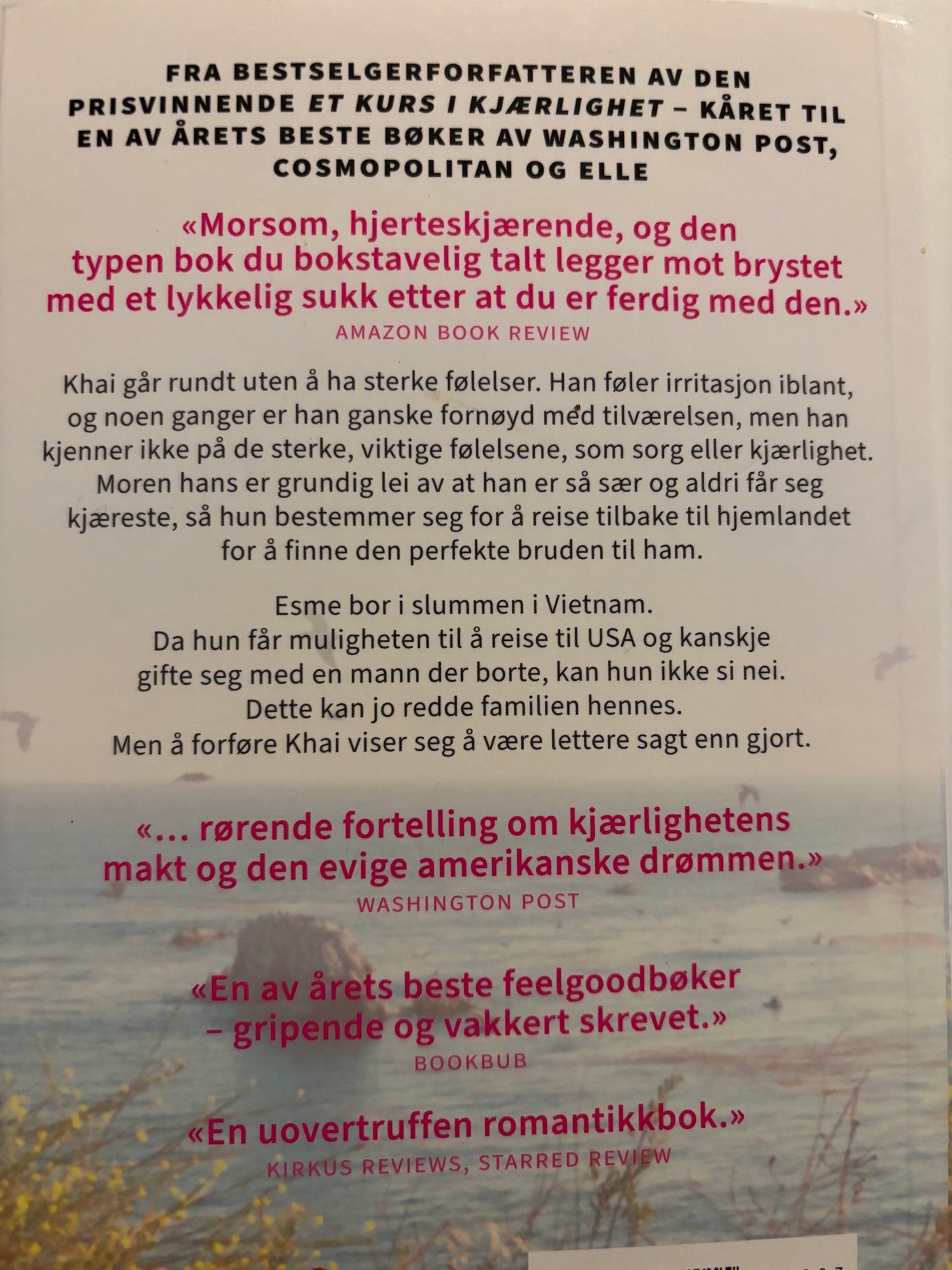 Hoang, Helen: Brudetesten