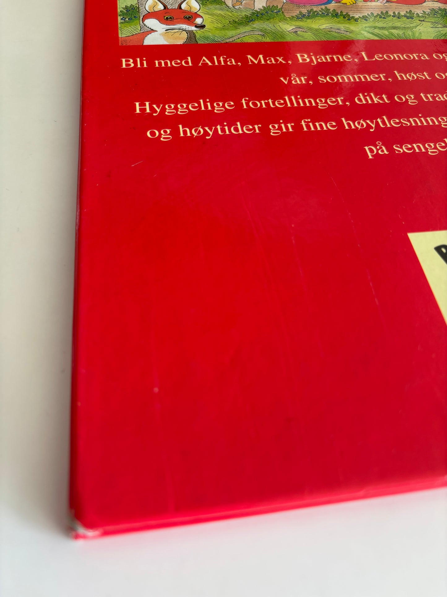 Året rundt med Sesam stasjon