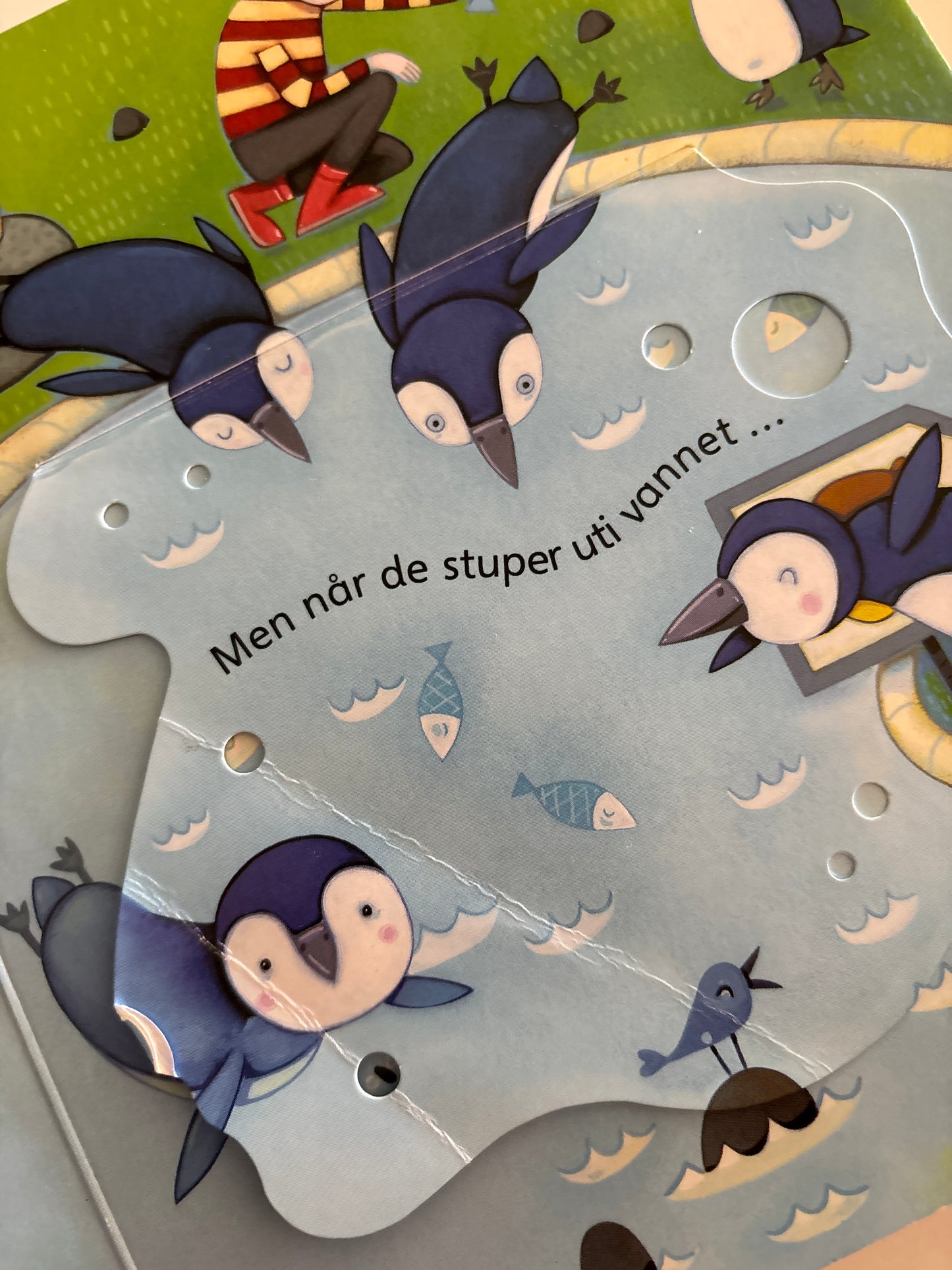 Titt inn i dyreparken