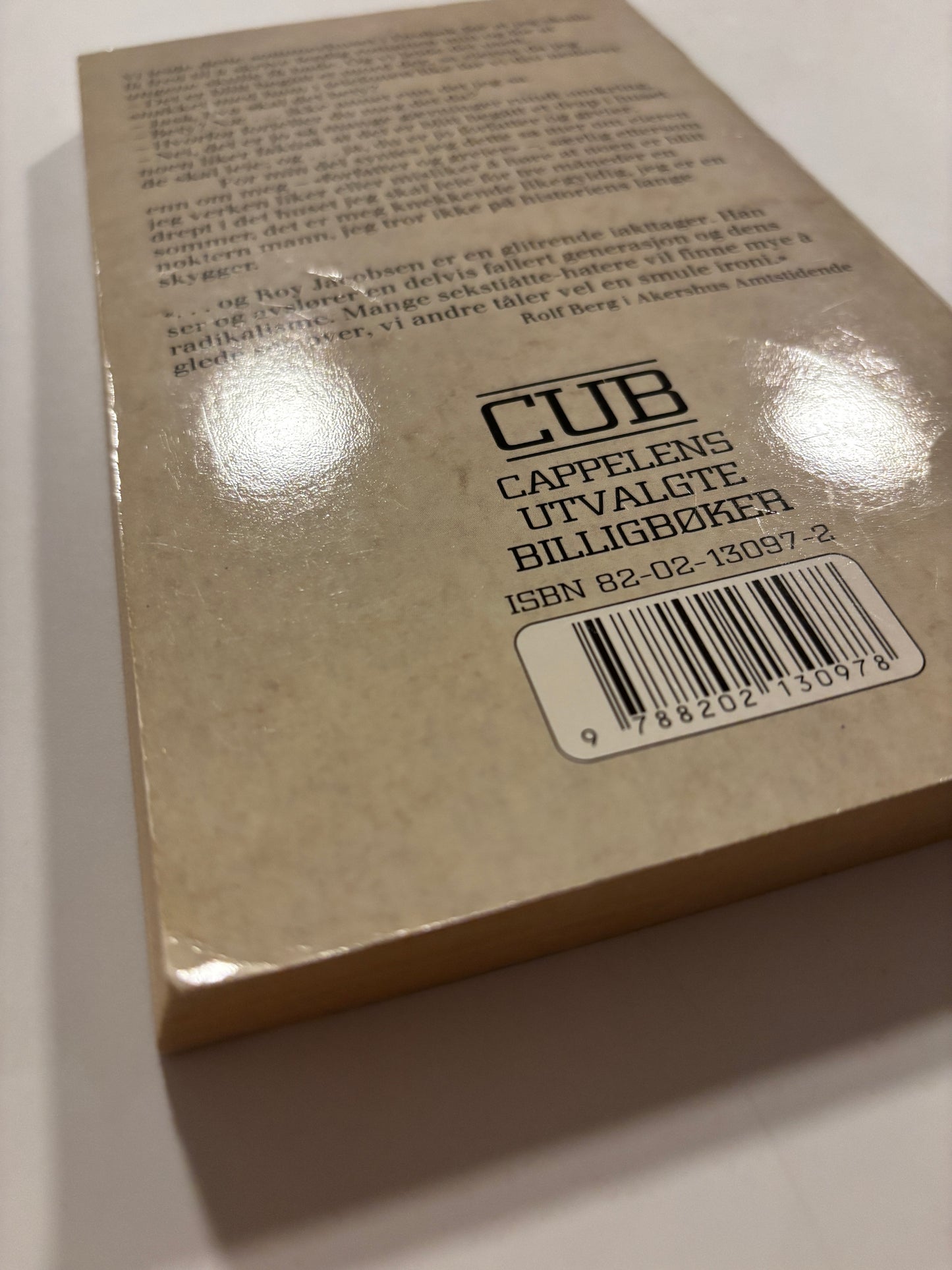 Jacobsen, Roy: Fata morgana