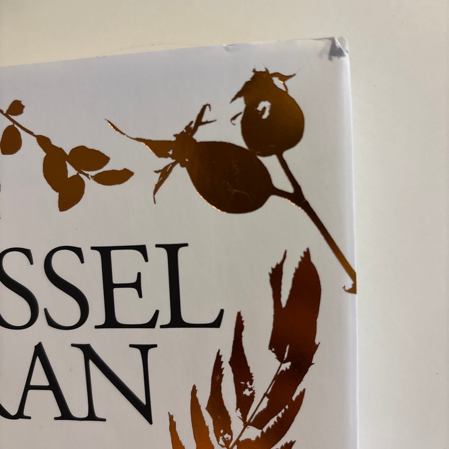 Gran, Sissel: Inni er vi alltid unge