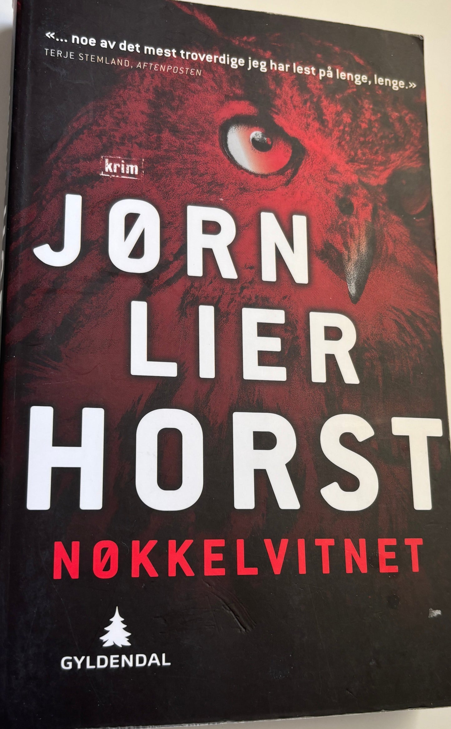 Lier Horst, Jørn: Nøkkelvitnet