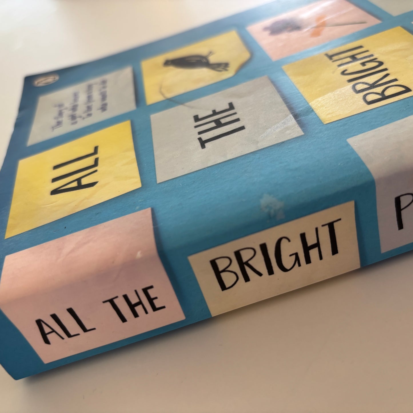 Niven, Jennifer: All the bright places