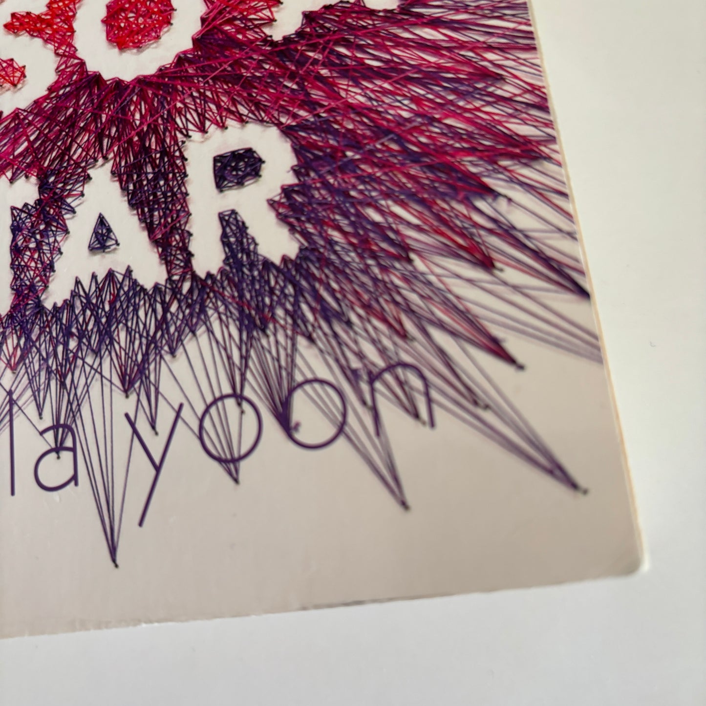 Yoon, Nicola: The sun is also a star