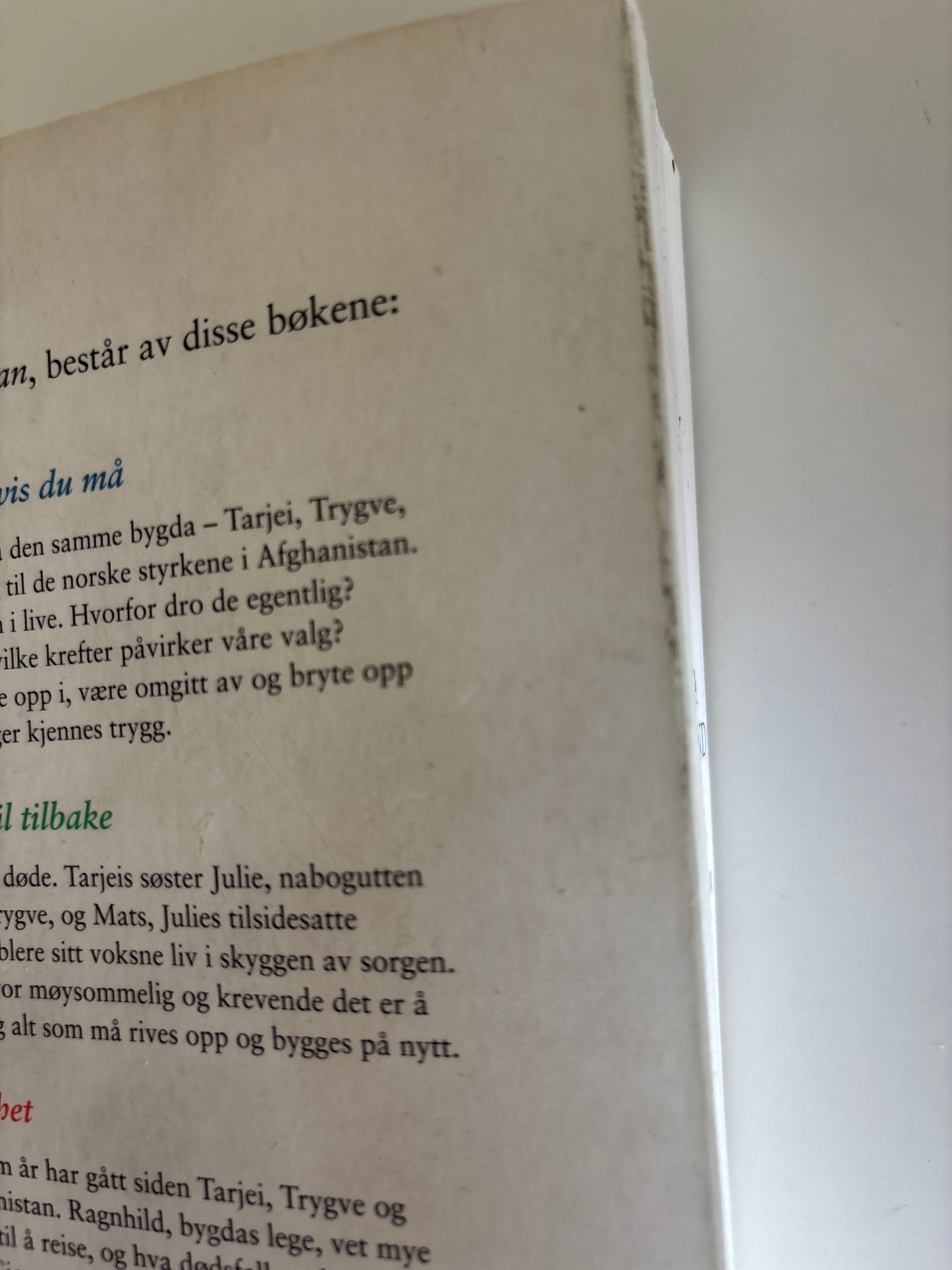 Flatland, Helga: Bli hvis du kan