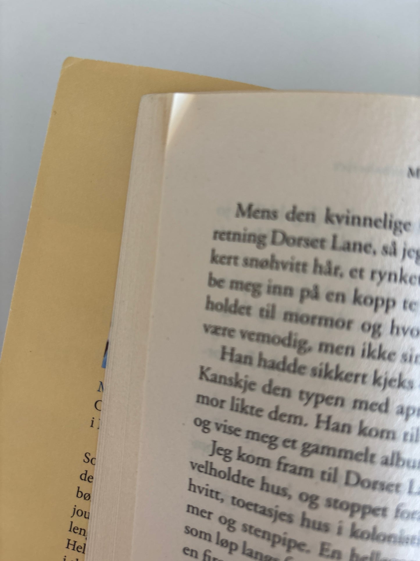 Simses, Mary: Det uimotståelige blåbærbakeriet
