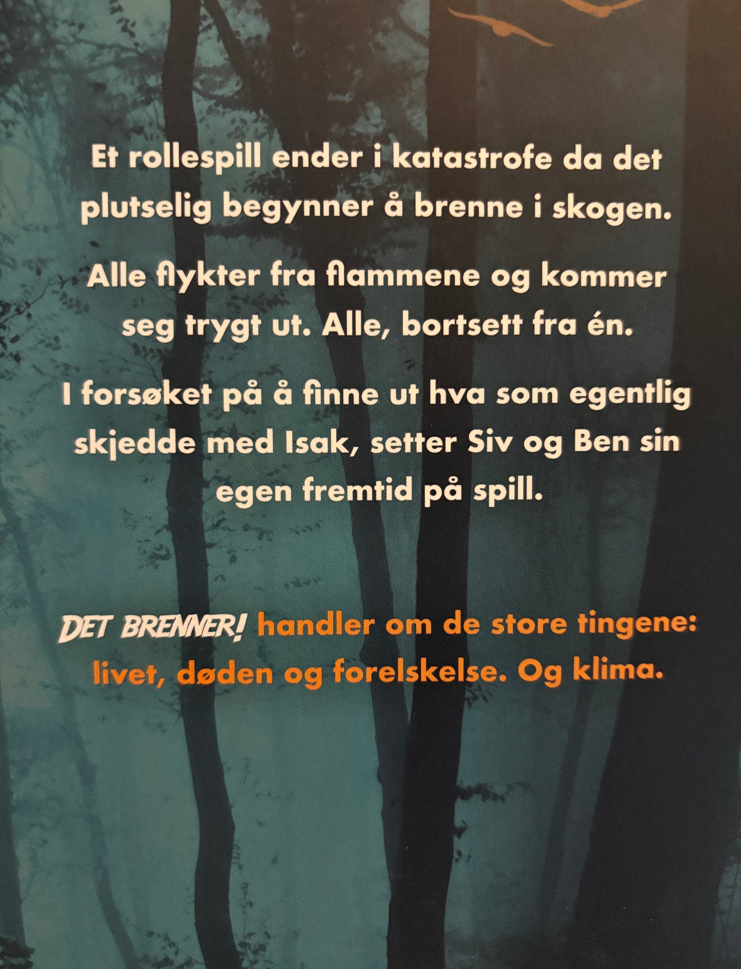 Vagstad, Sunniva: Det brenner!