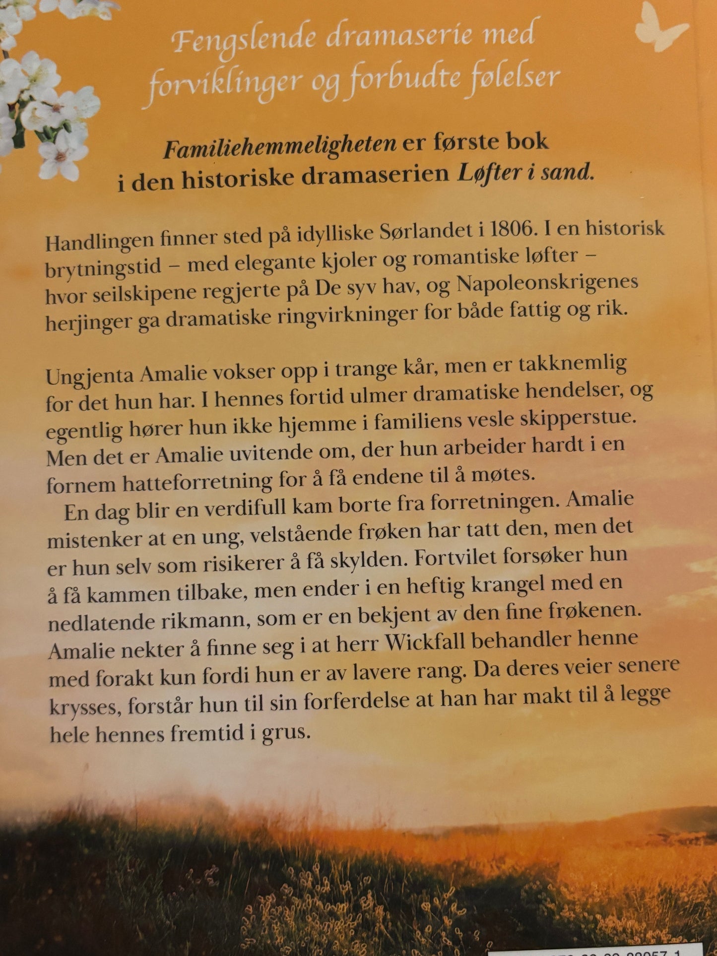 Hammer, Elisabeth: Løfter i sand - Familiehemmeligheten