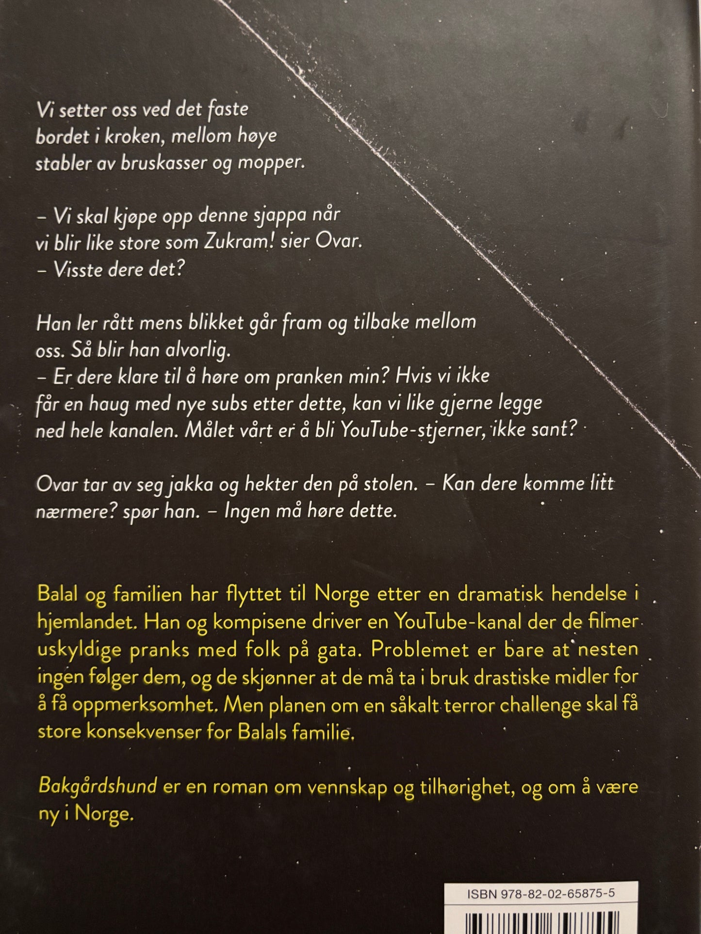 Buen Halvorsen, Magnus: Bakgårdshund