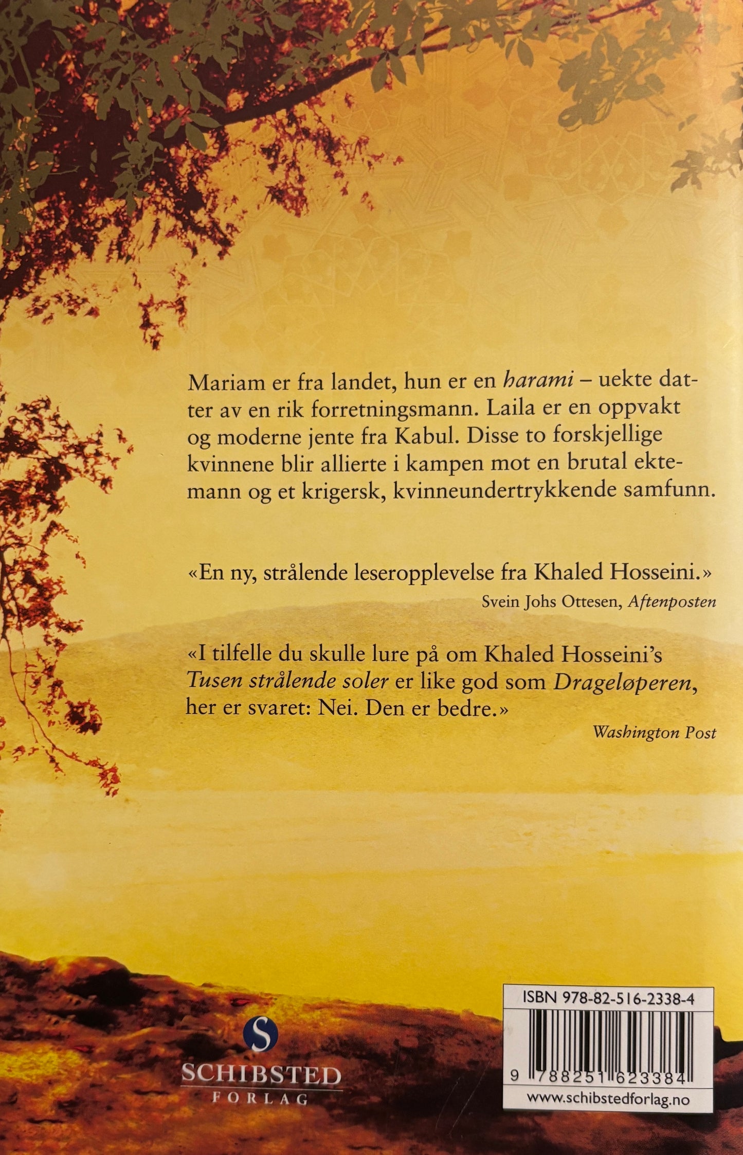 Hosseini, Khaled: Tusen strålende soler