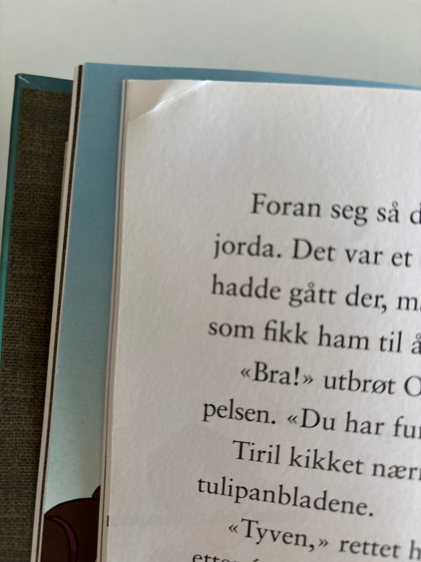 Horst, Jørn Lier: Detektivbyrå nr 2: Operasjon Bronseplass