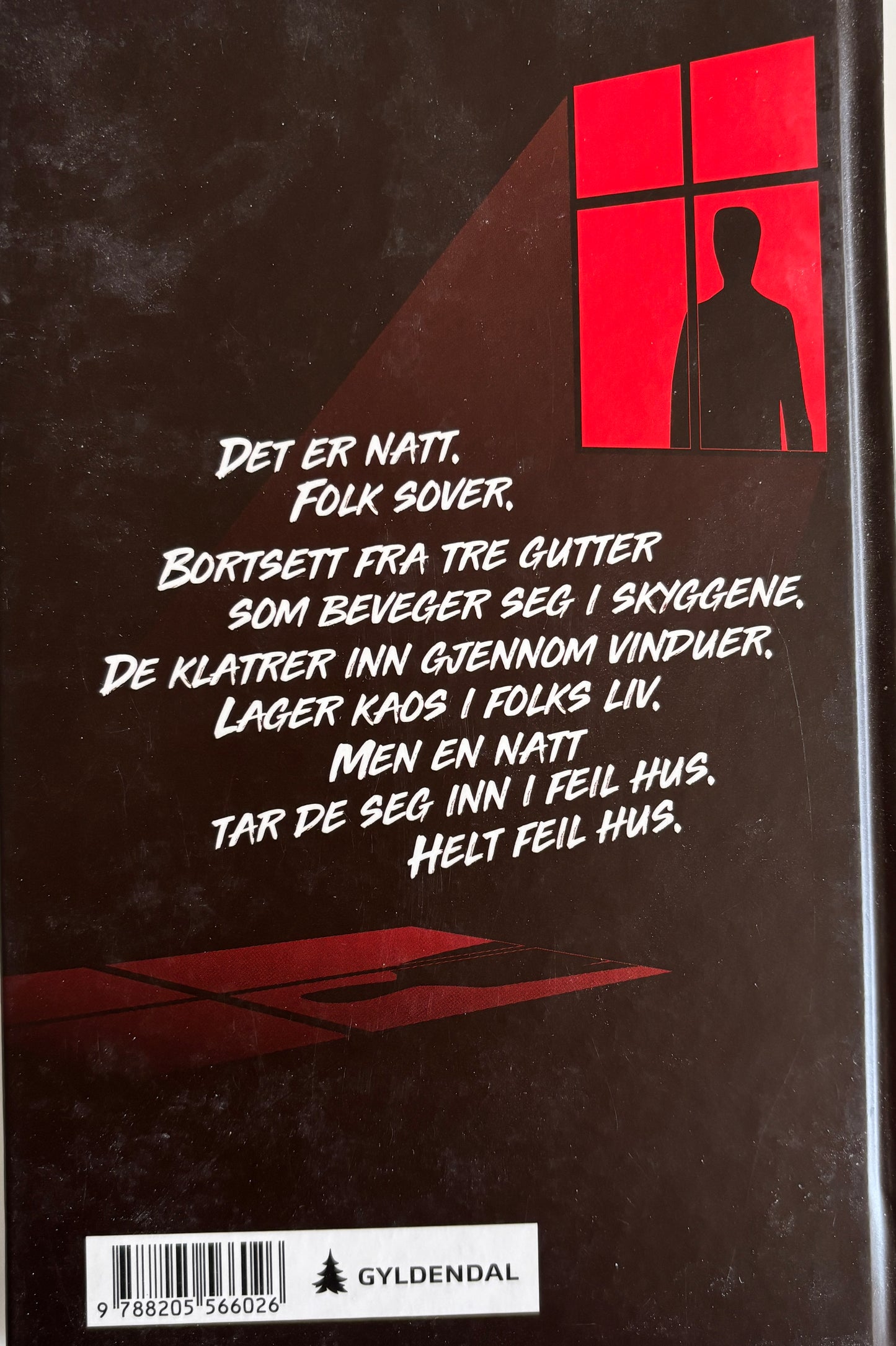 Svingen, Arne: I natt er vi usynlige