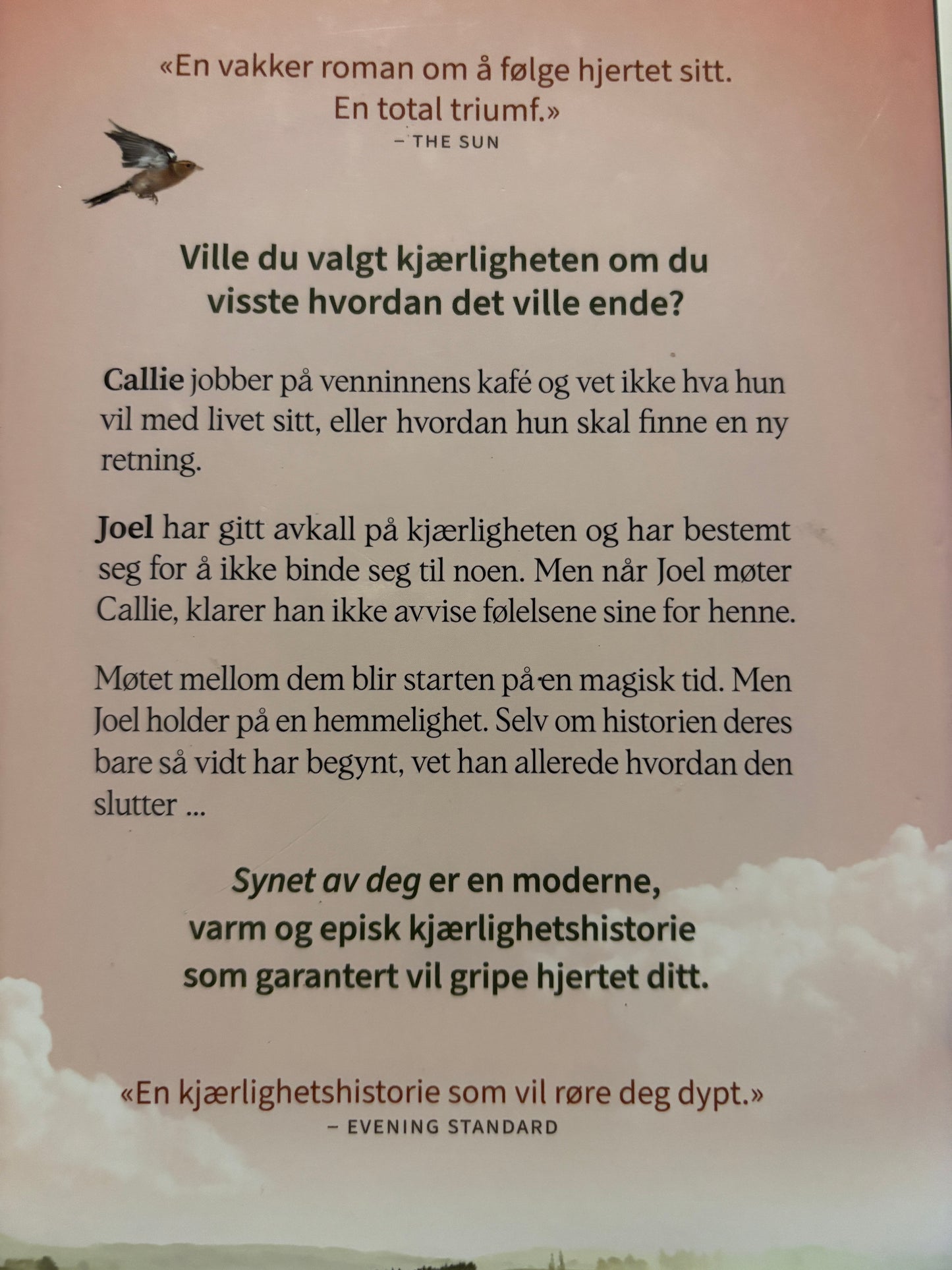 Miller, Holly: Synet av deg