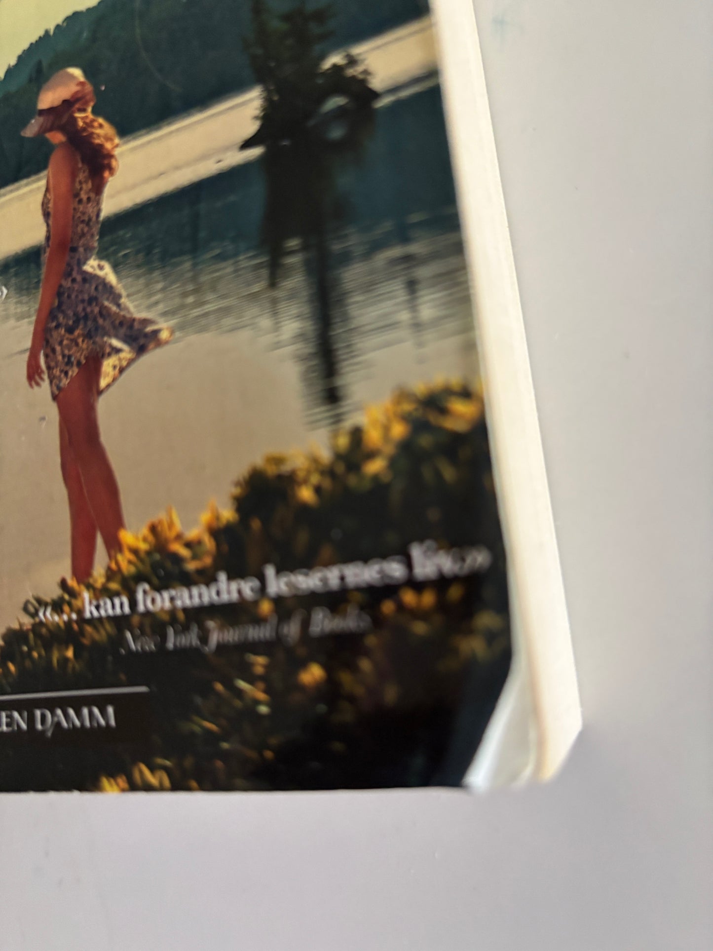 Hannah, Kristin: Sommernatten
