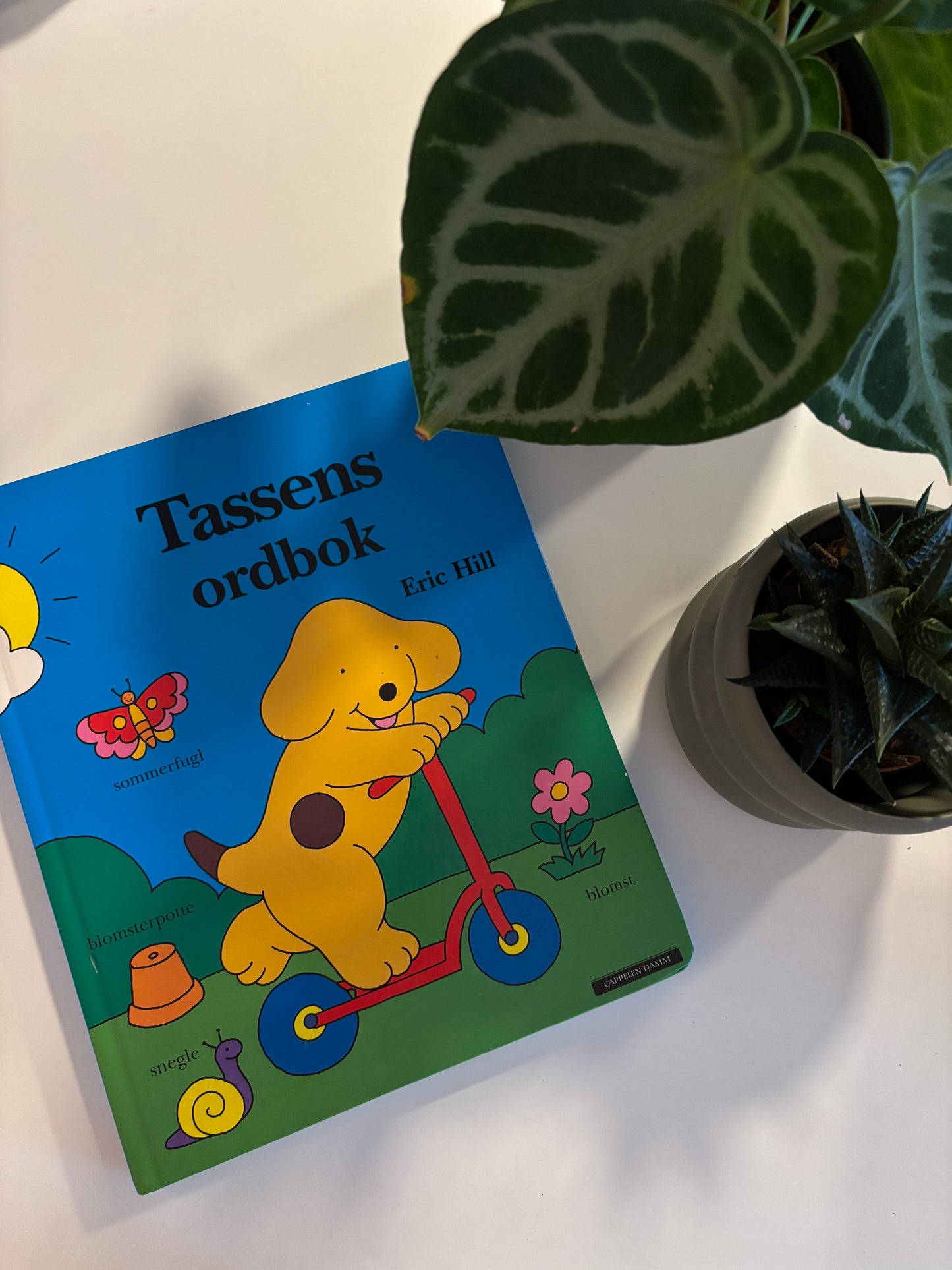 Hill, Eric: Tassens ordbok