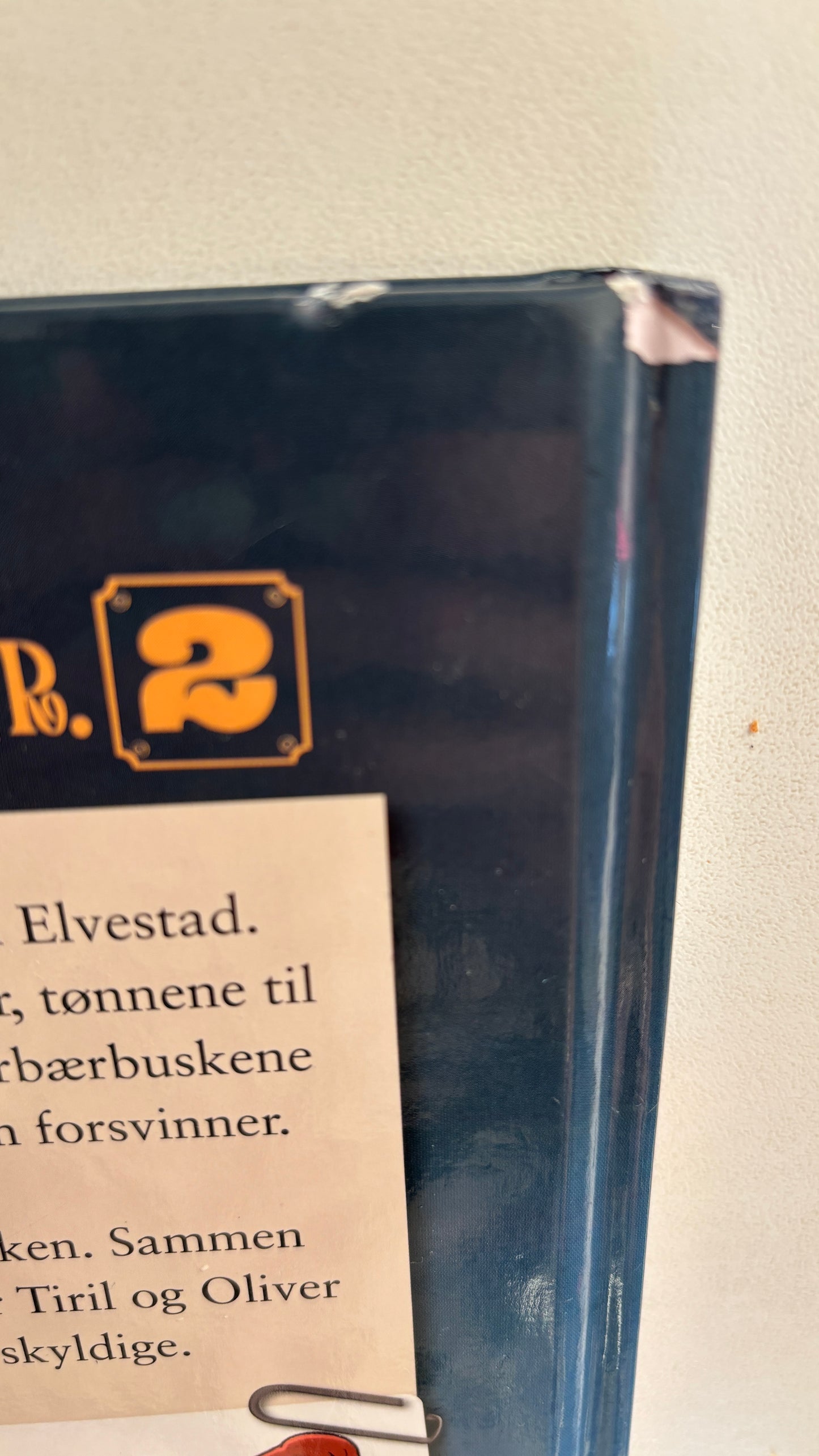 Lier Horst, Jørn: Operasjon tordensky