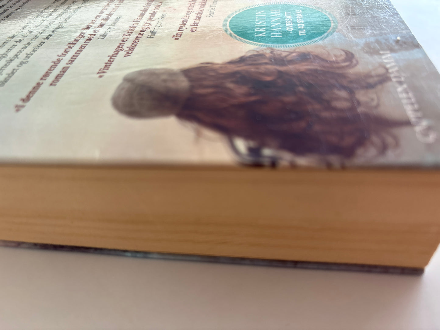 Hannah, Kristin: Vinterhagen