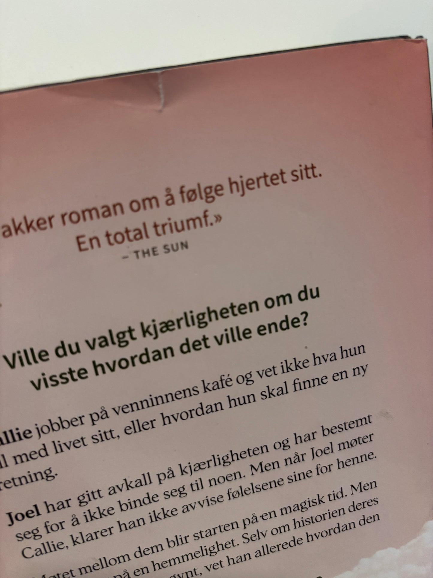 Miller, Holly: Synet av deg