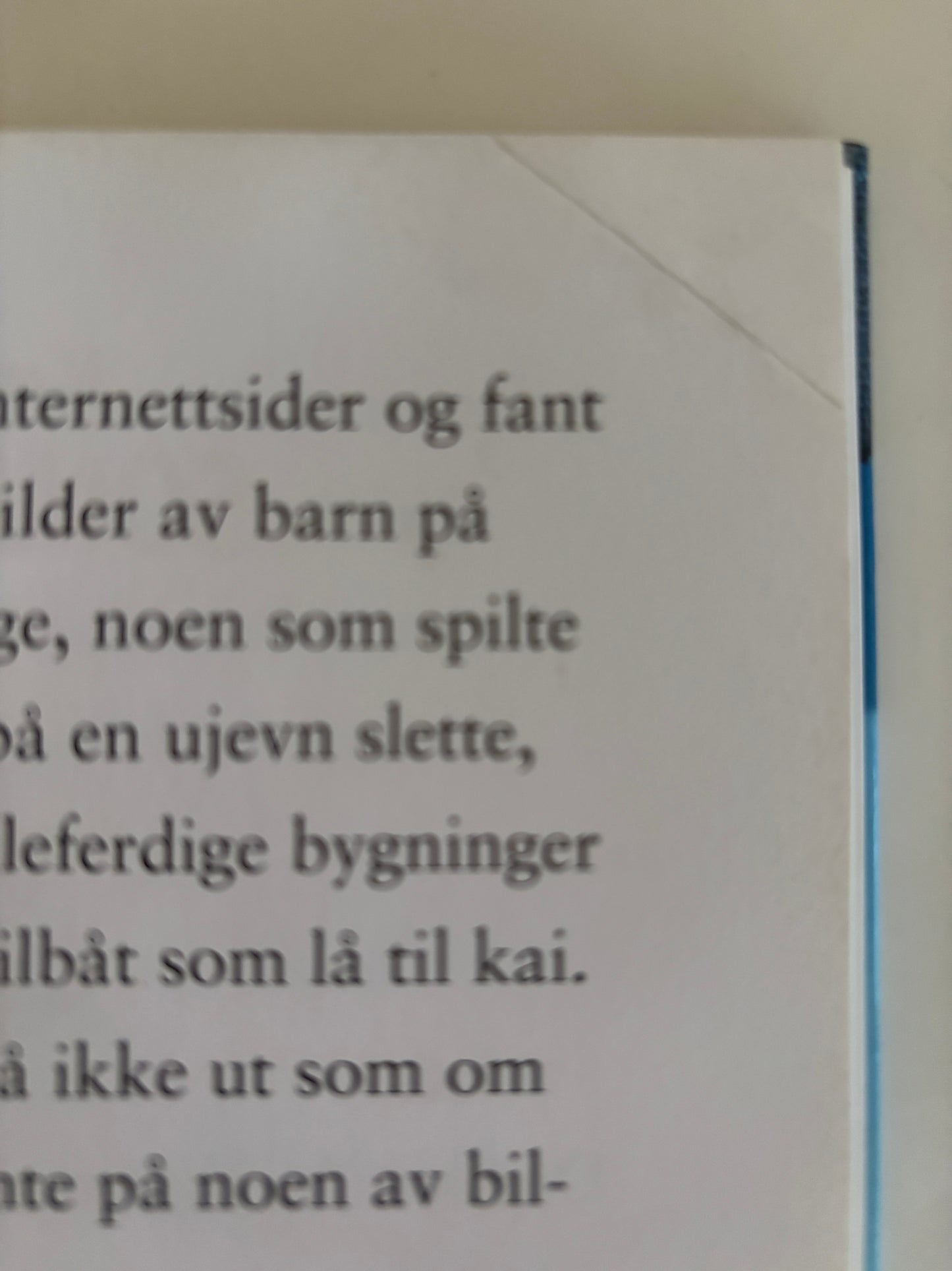 Horst, Jørn Lier: Detektivbyrå nr 2: Operasjon Sommerøya