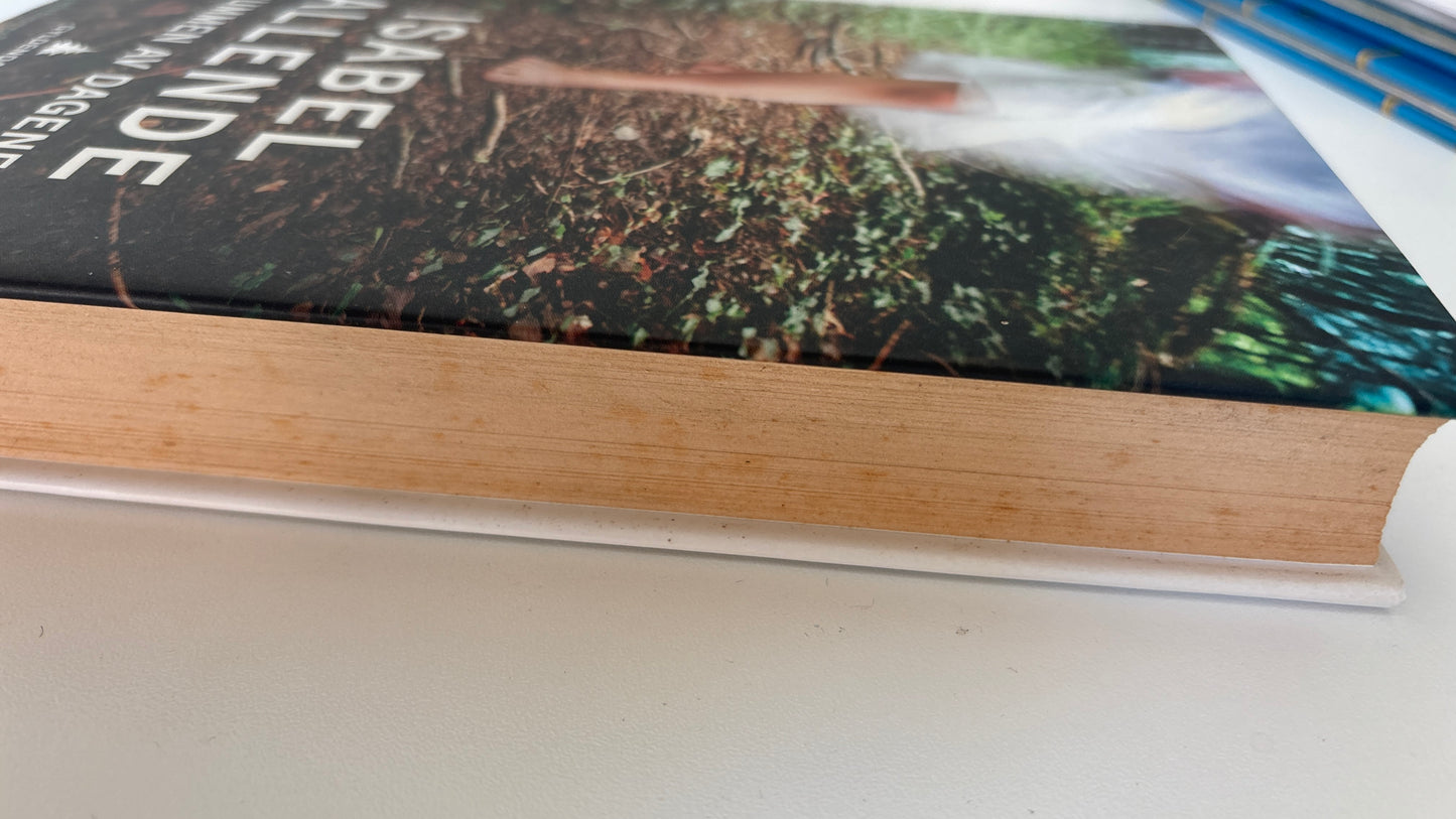 Allende, Isabel: Summen av dagene