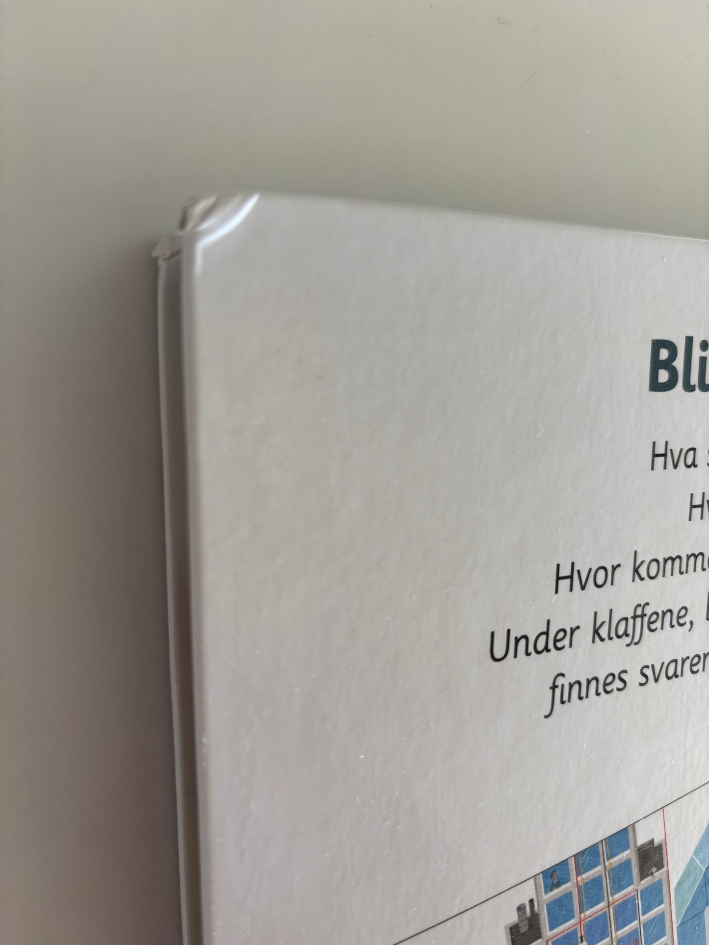 Baumann, Anne-Sophie: Den kjempestore boka om byen