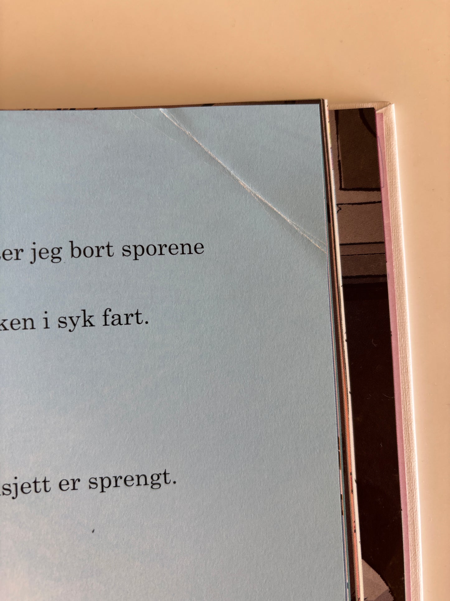 Flesvig, Herman: Herman - Historier fra en udiagnostisert oppvekst