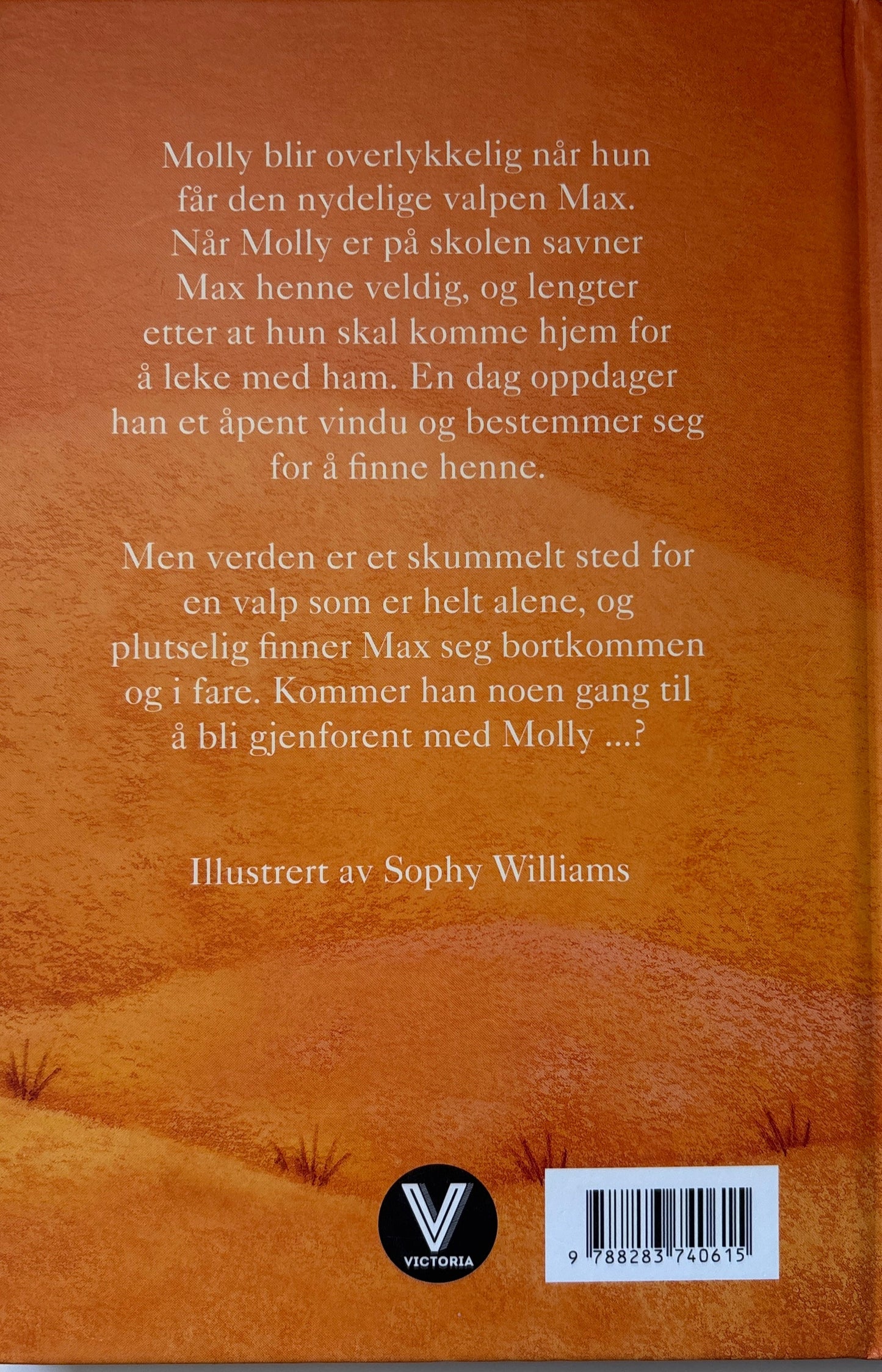 Webb, Holly: Max, den savnede valpen