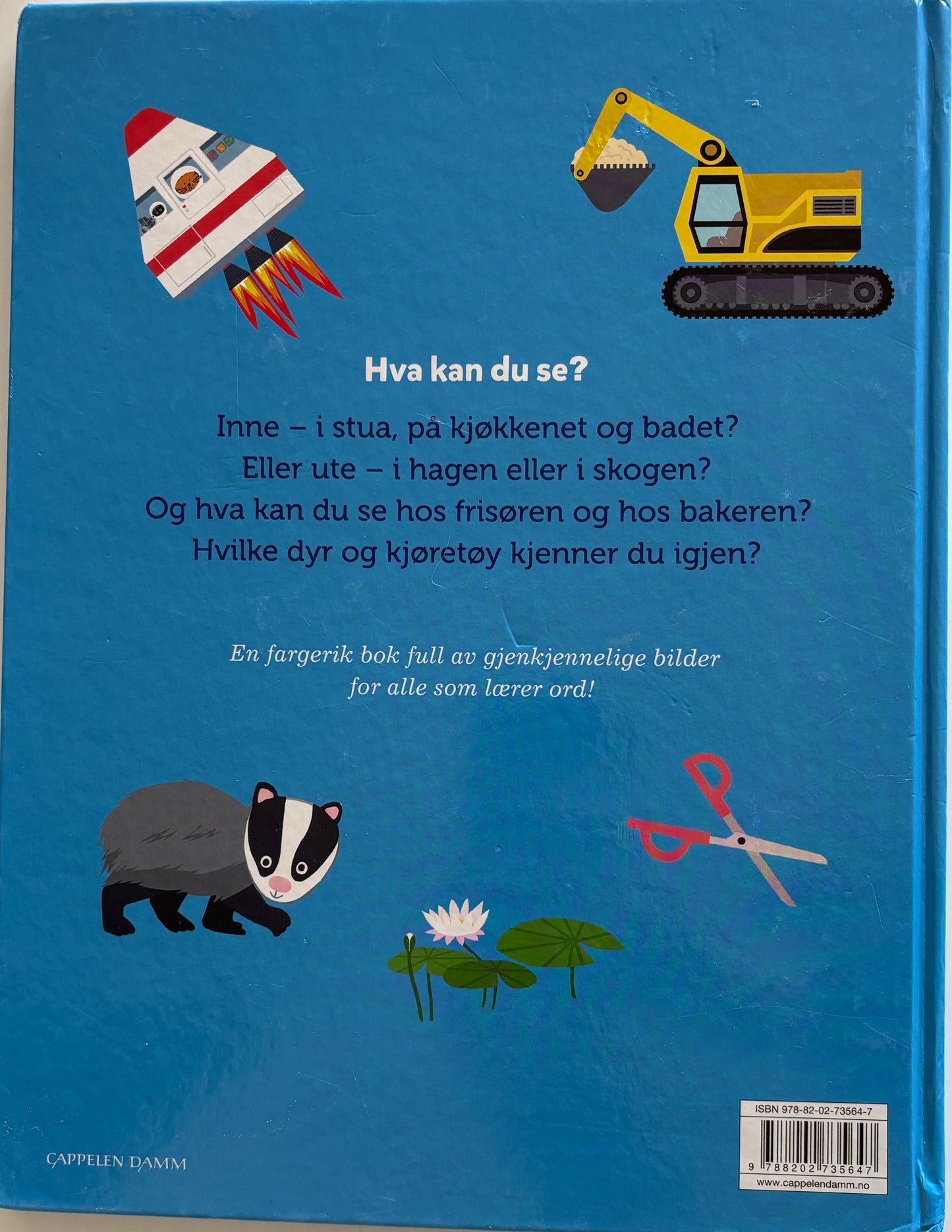 Bijsterbosch, Anita: Hva kan du se? Bildeordbok for de minste