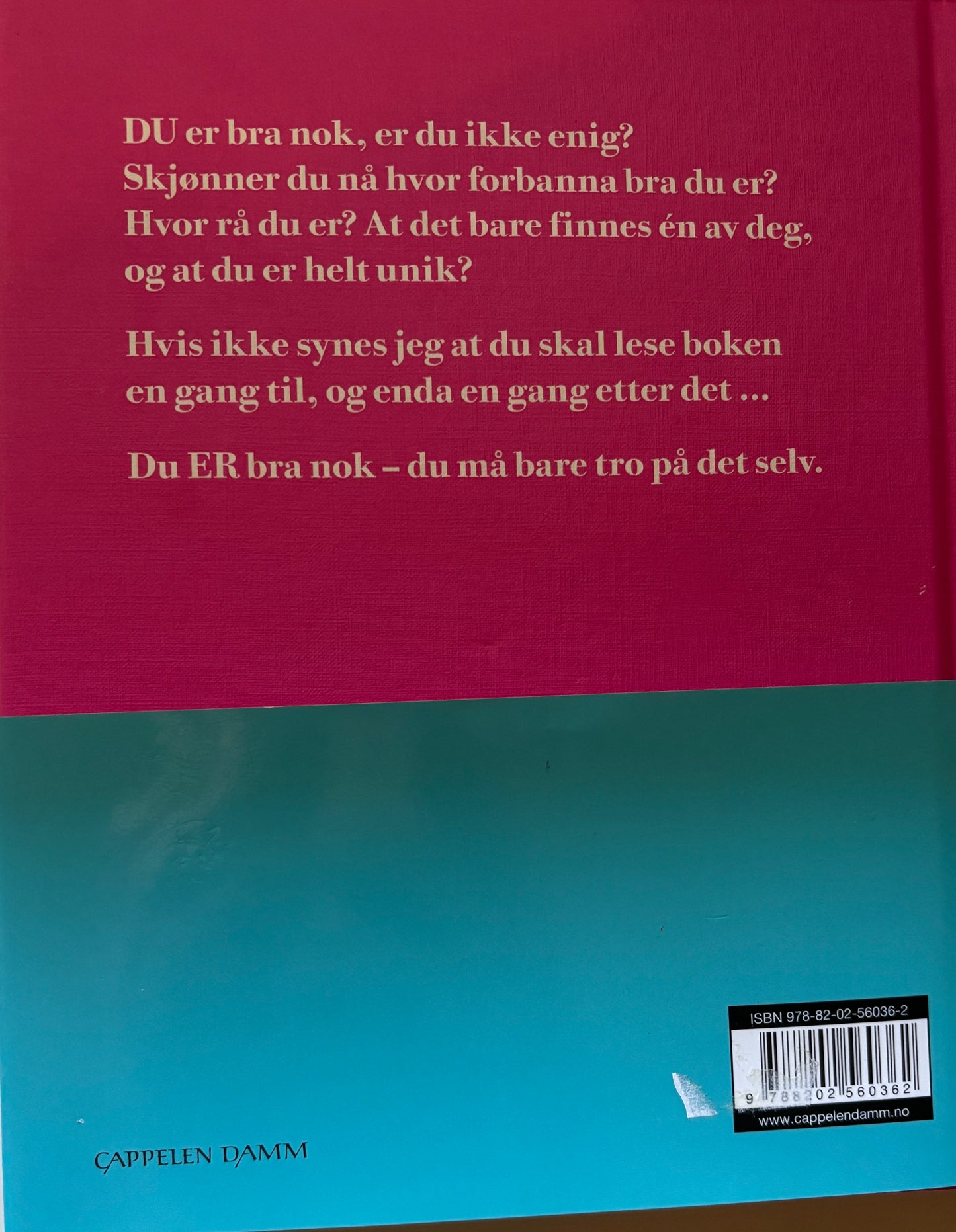 Gjelsvik, Kristin: Bra nok