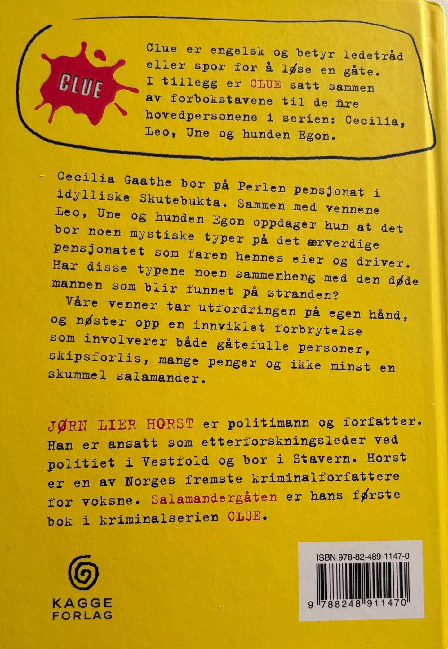 Lier Horst, Jørn: Salamandergåten
