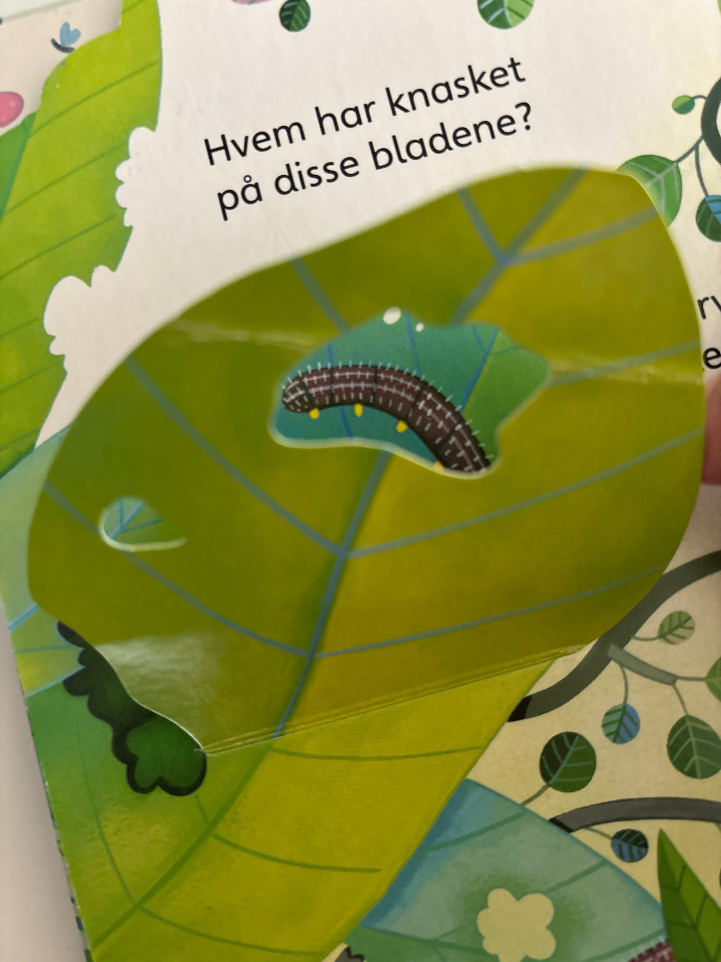 Titt inn i dyreparken