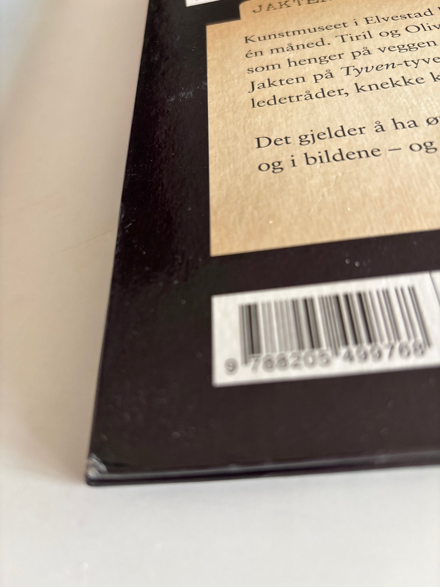 Horst, Jørn Lier: Detektivbyrå nr 2: Jakten på Tyven-Tyven