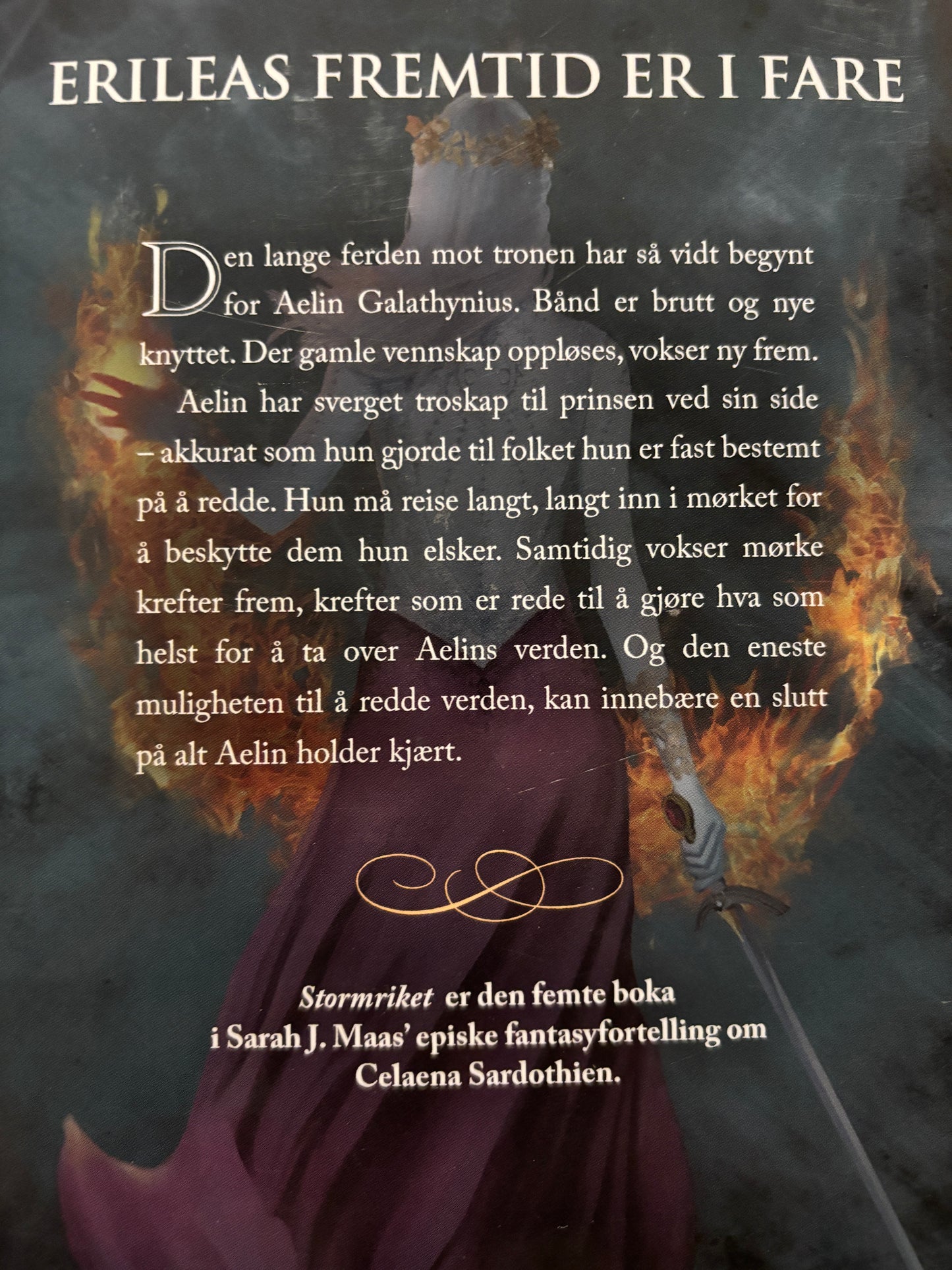 Maas, Sarah J: Stormriket