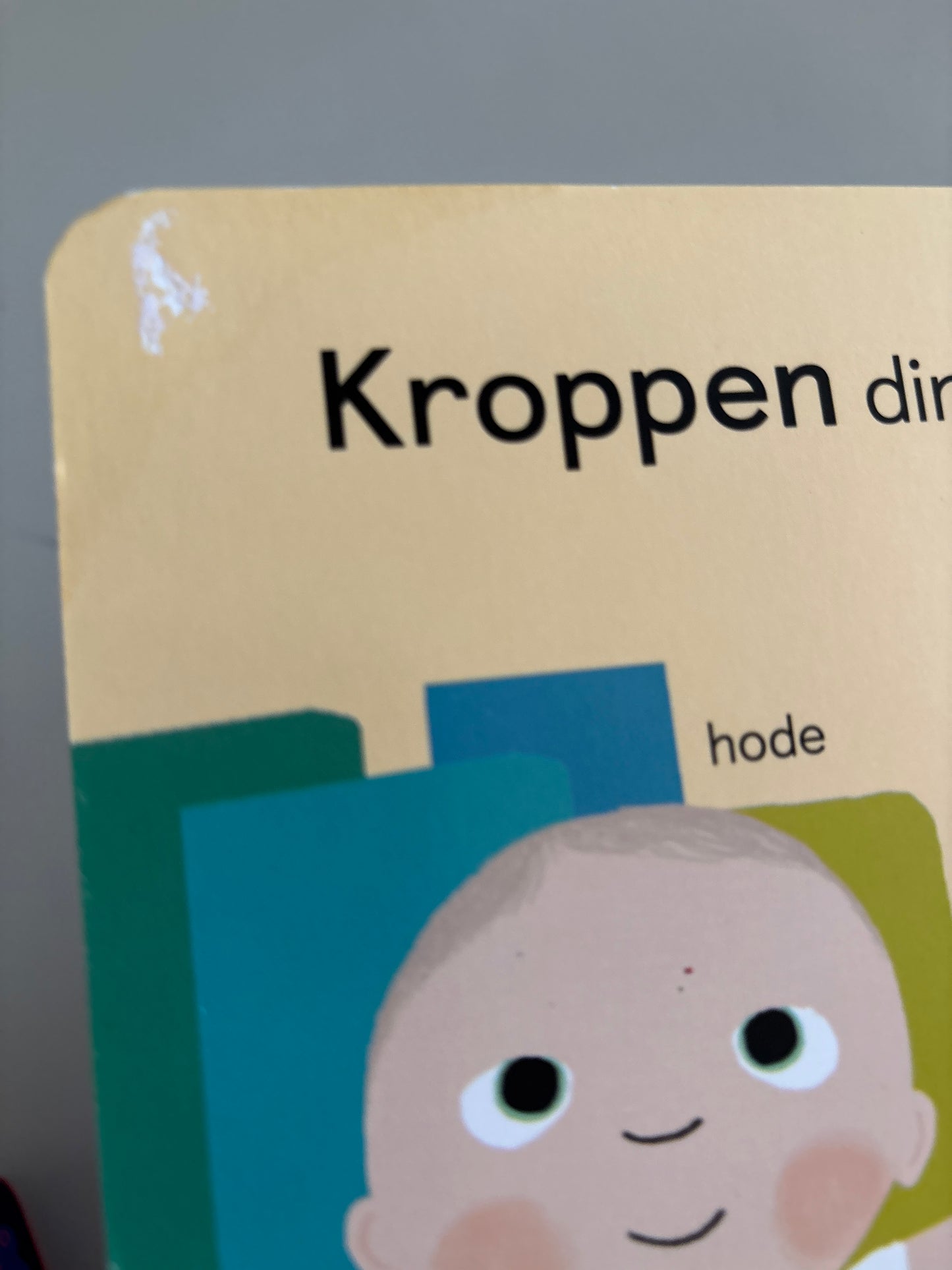 Litton, Jonathan: Anatomi for småtasser