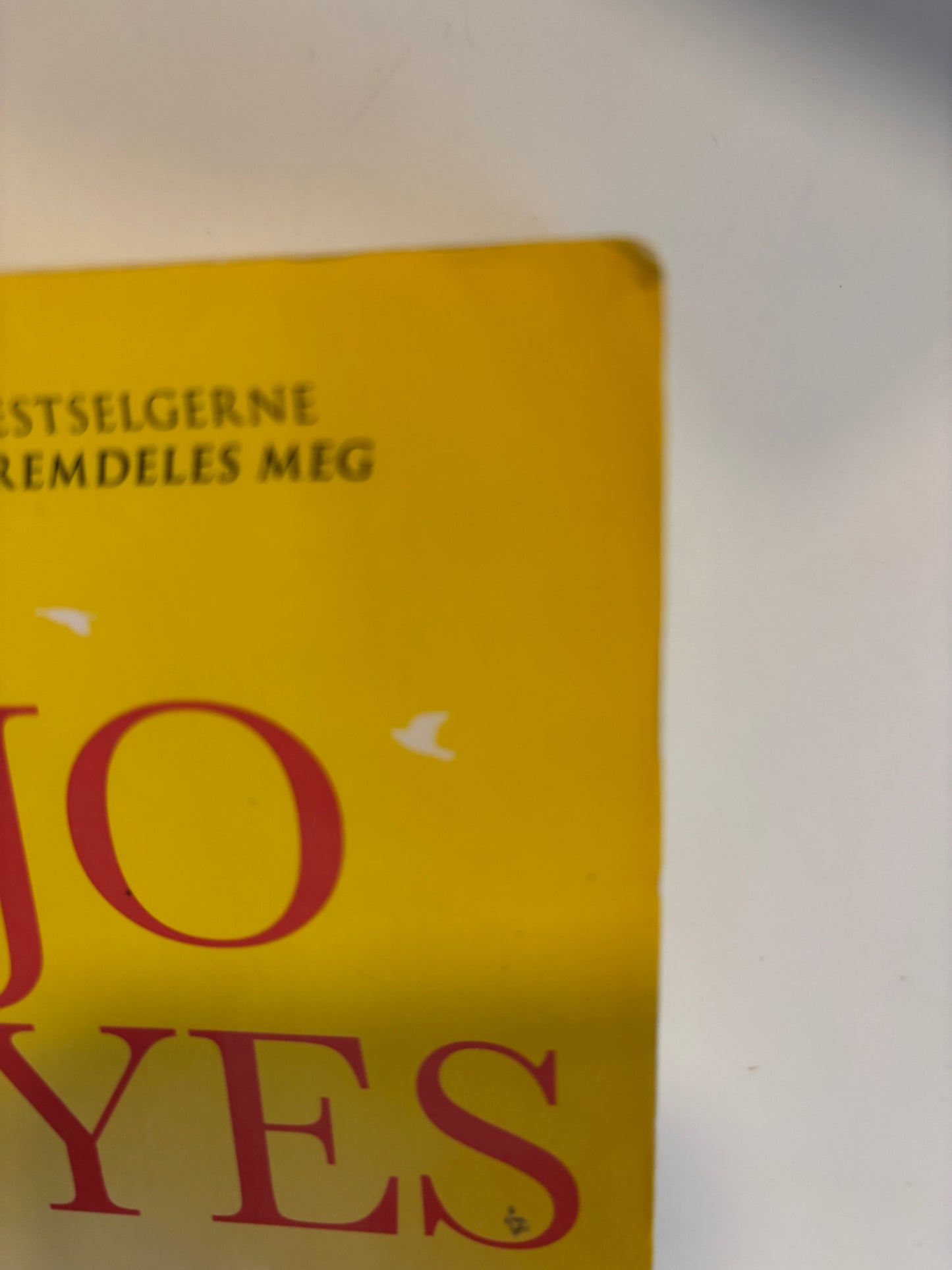 Moyes, Jojo: Jenta som ble igjen