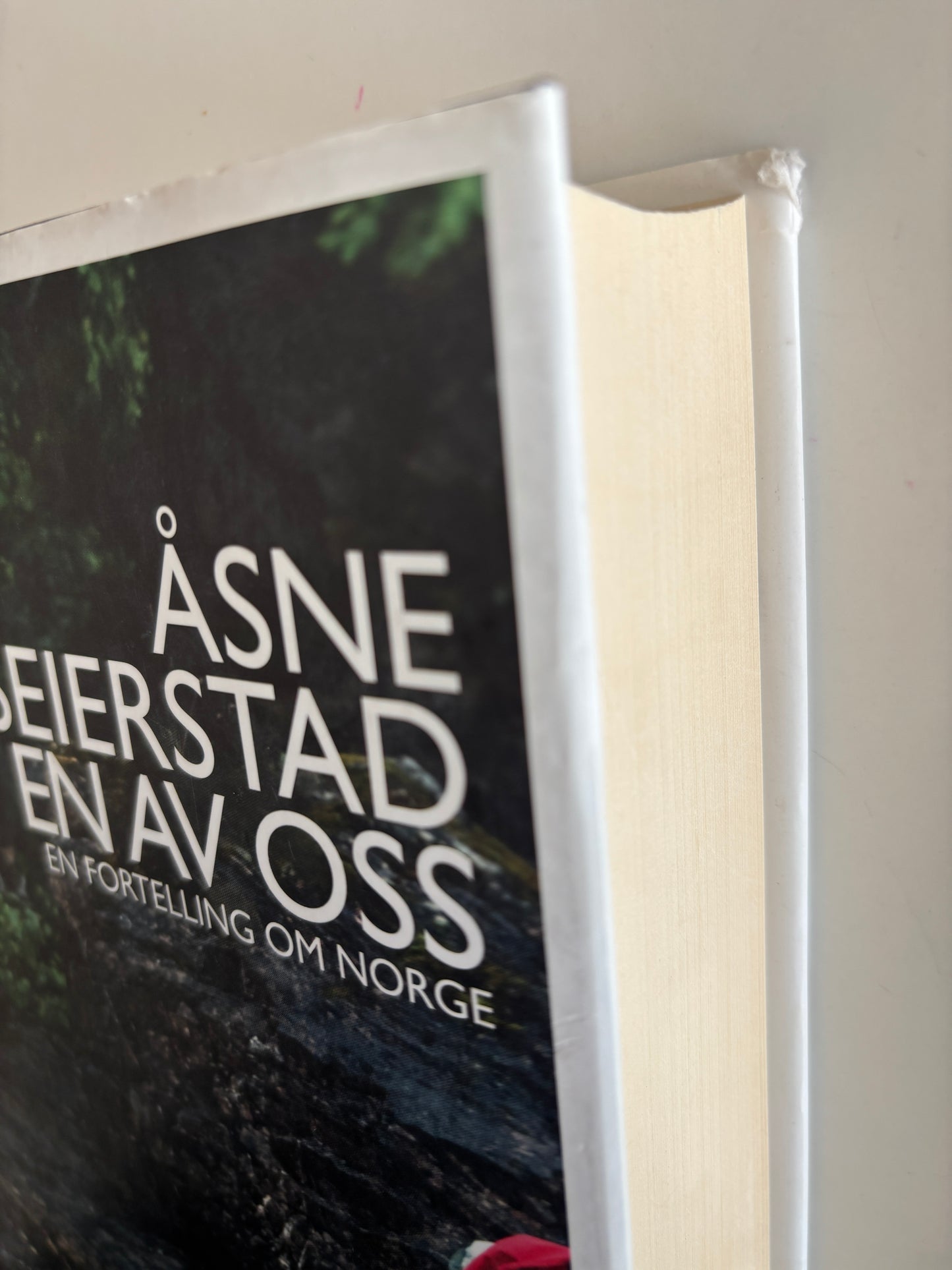 Seierstad, Åsne: En av oss
