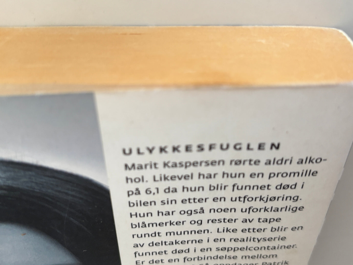 Lackberg, Camilla: Ulykkesfuglen