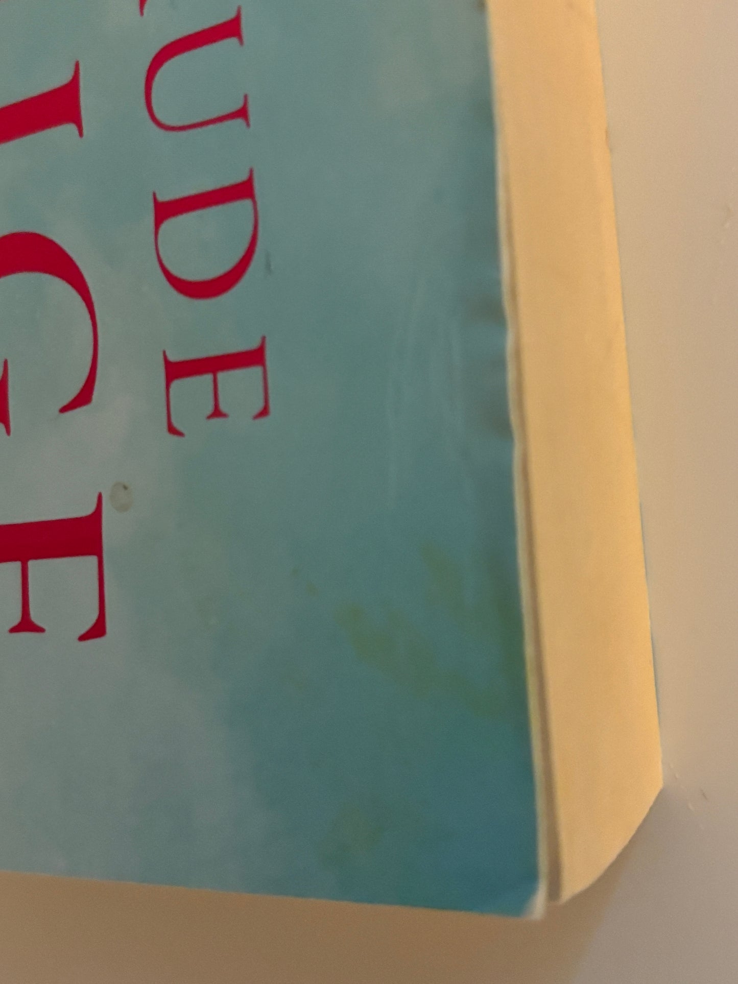 Teige, Trude: Mormor danset i regnet