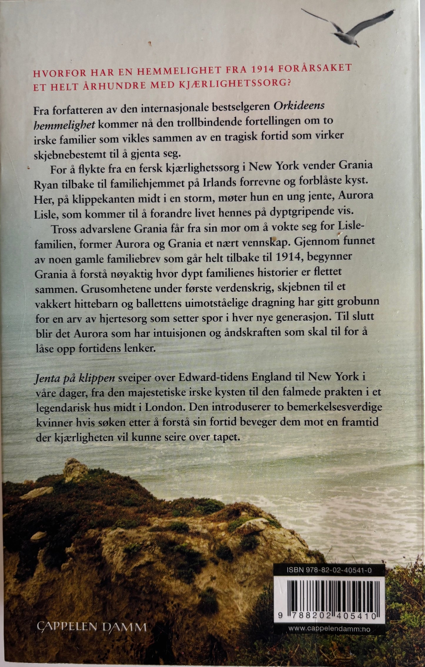 Riley, Lucinda: Jenta på klippen