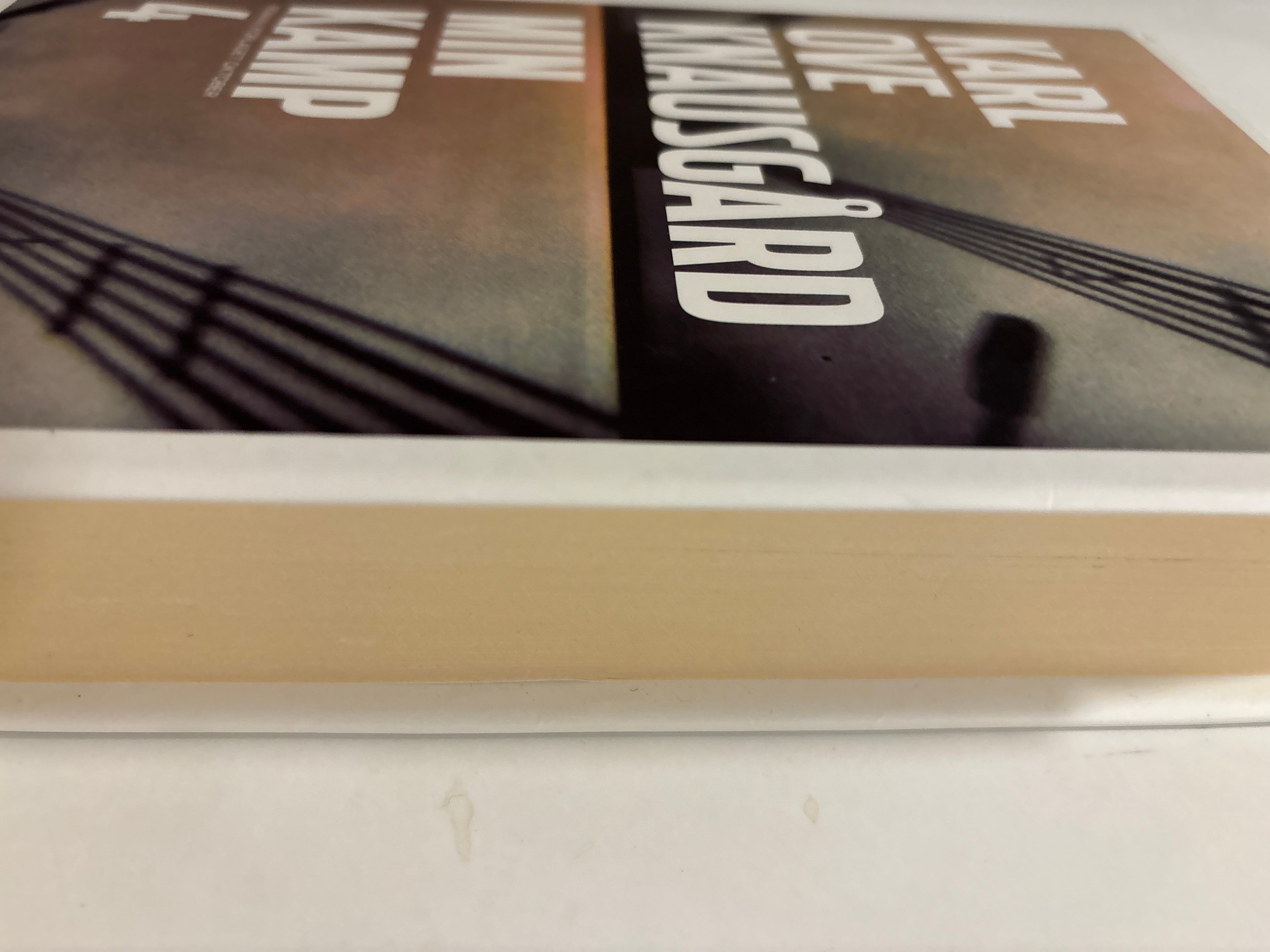 Knausgård, Karl Ove: Min kamp 4