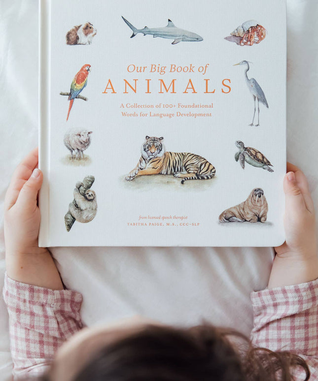 Our Big Book of Animals (Board Book)