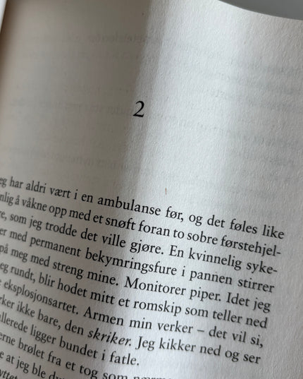 Lauren, Christina: Roomies: Da jeg hørte deg