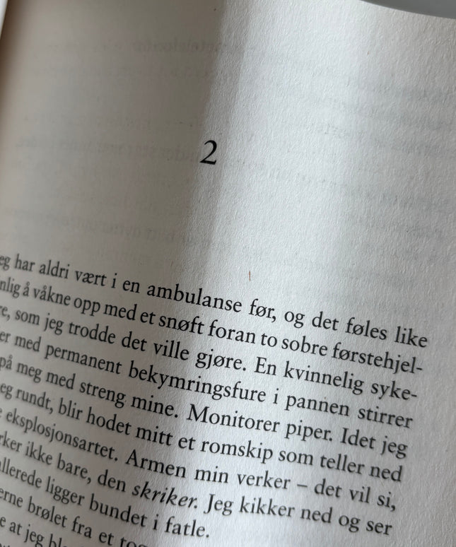 Lauren, Christina: Roomies: Da jeg hørte deg