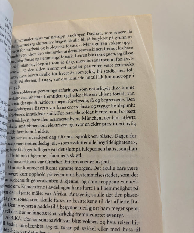 Morante, Elsa: Historien
