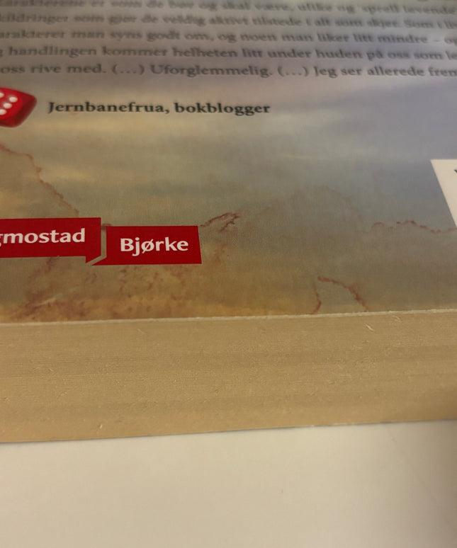 Brenden, Laila: Skygger under overflaten