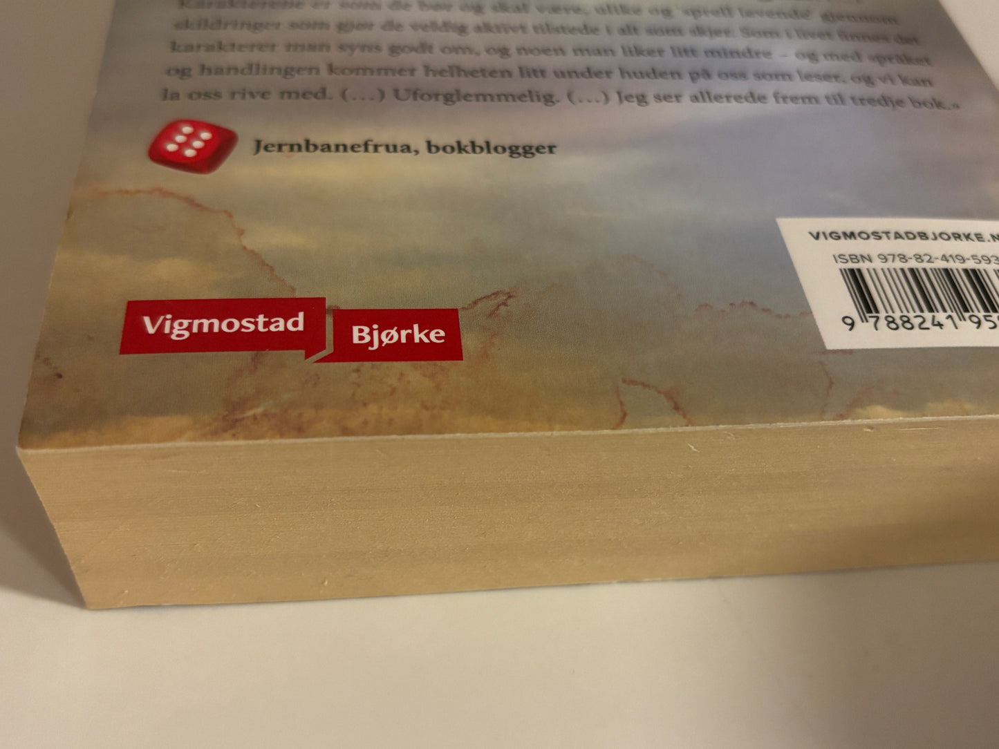 Brenden, Laila: Skygger under overflaten